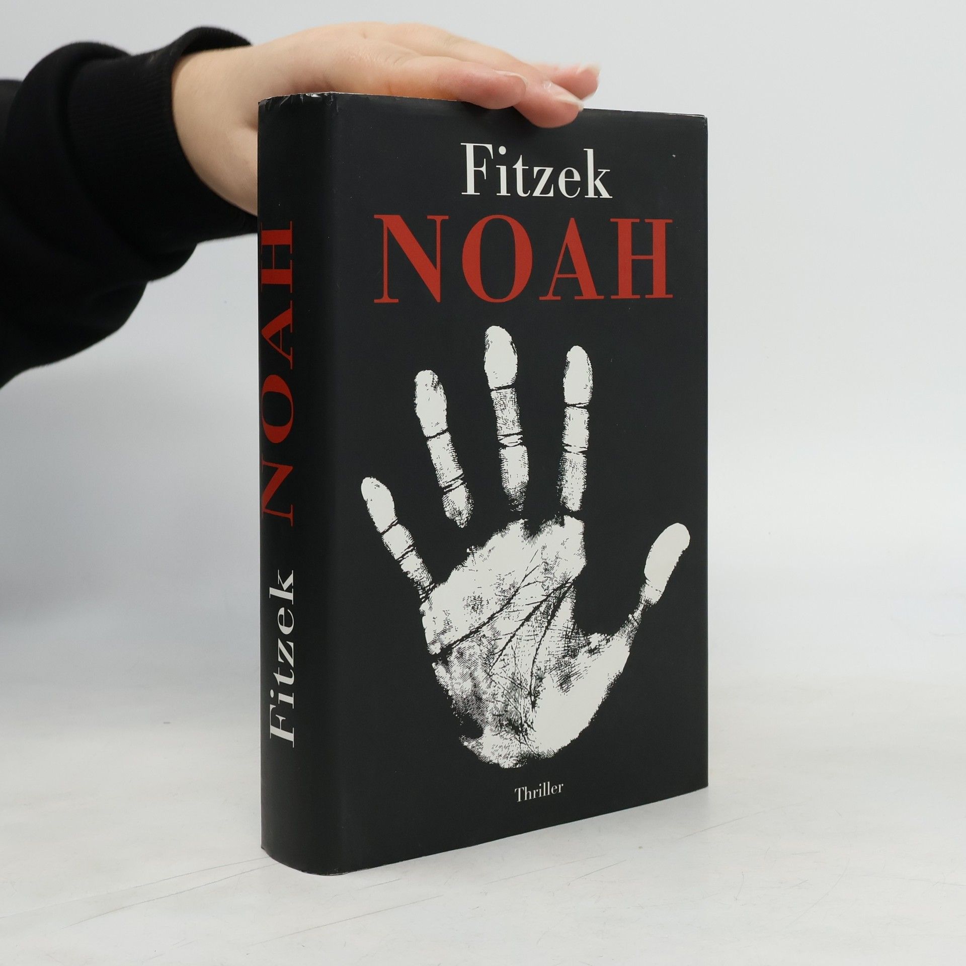 Sebastian Fitzek Noah