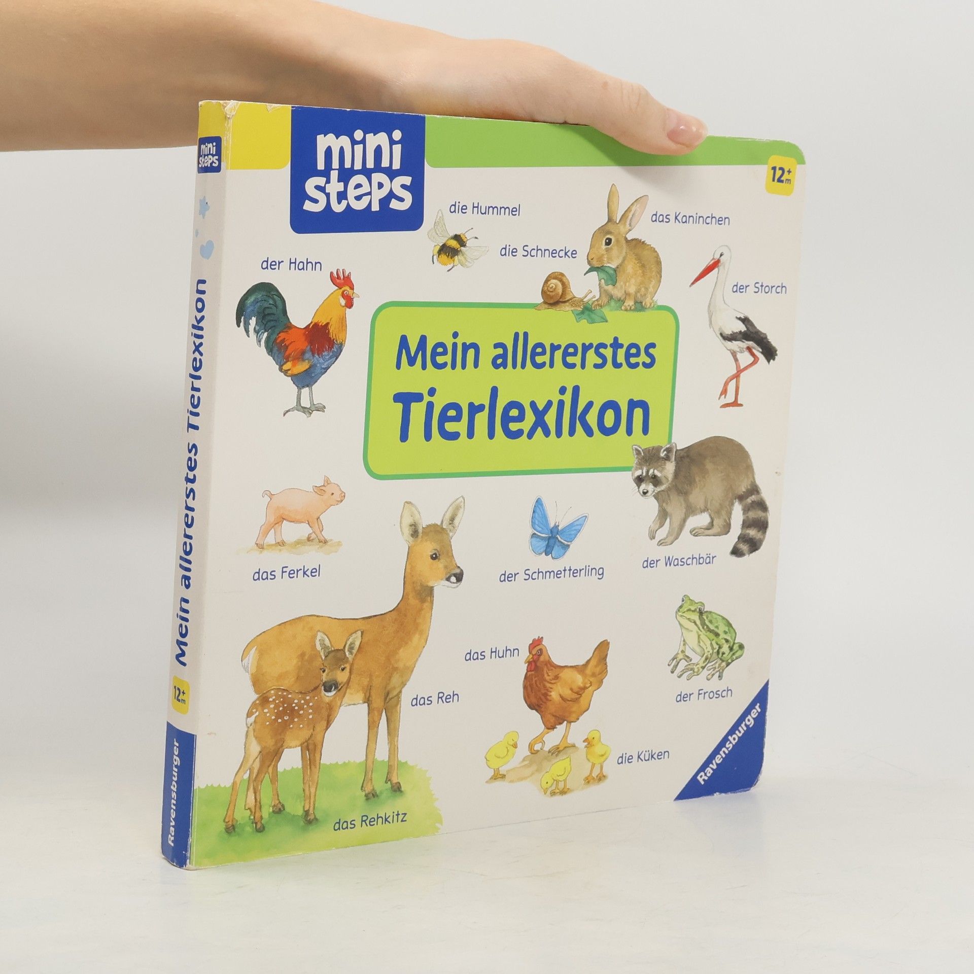 Ana Weller Mein allererstes Tierlexikon