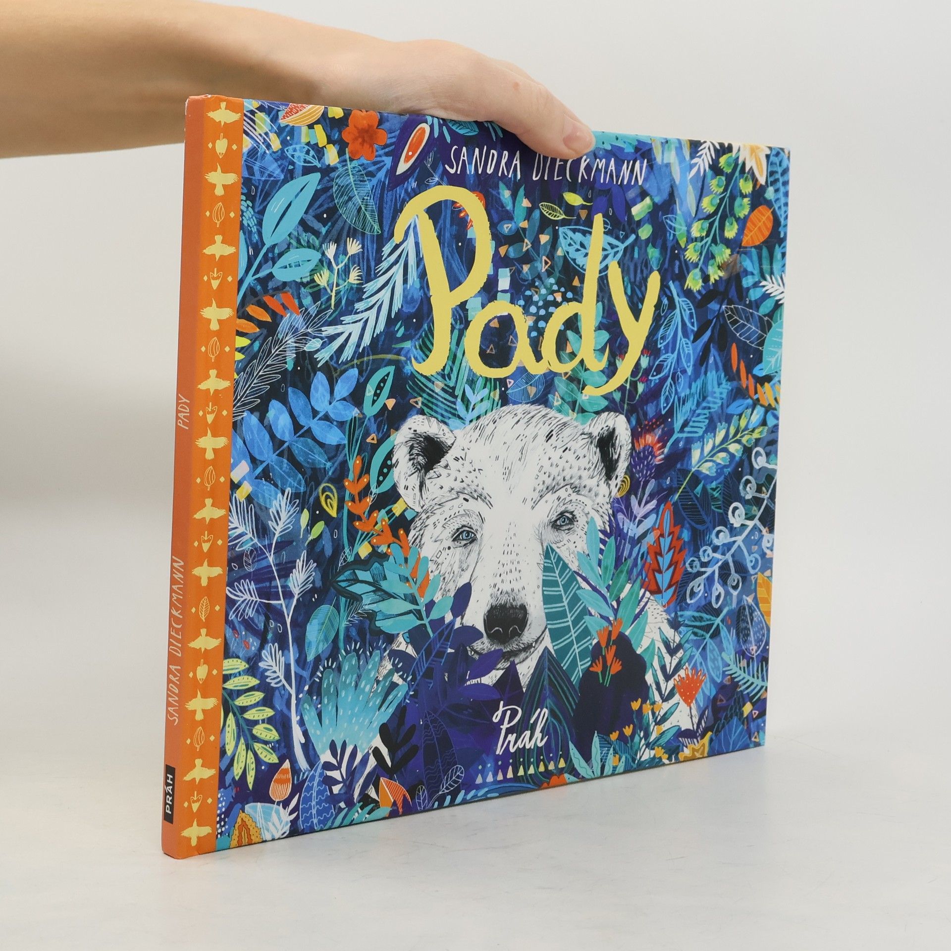 Sandra Dieckmann Pady