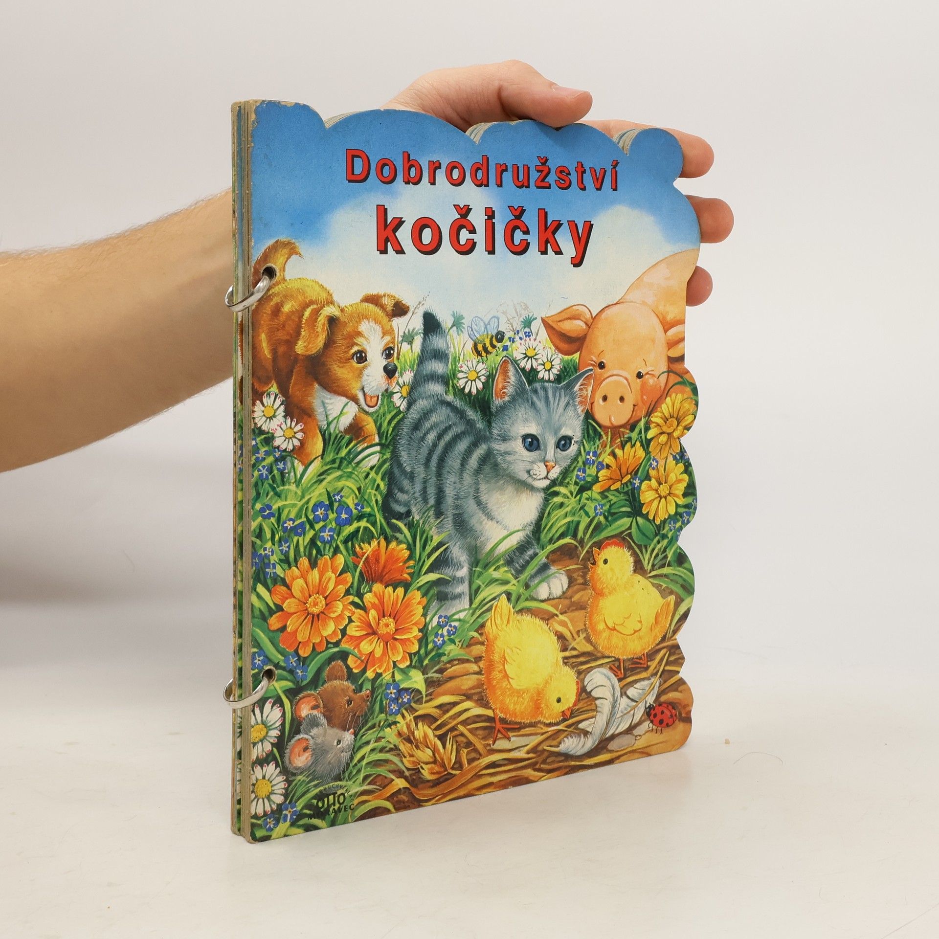 Dobrodružství kočičky
