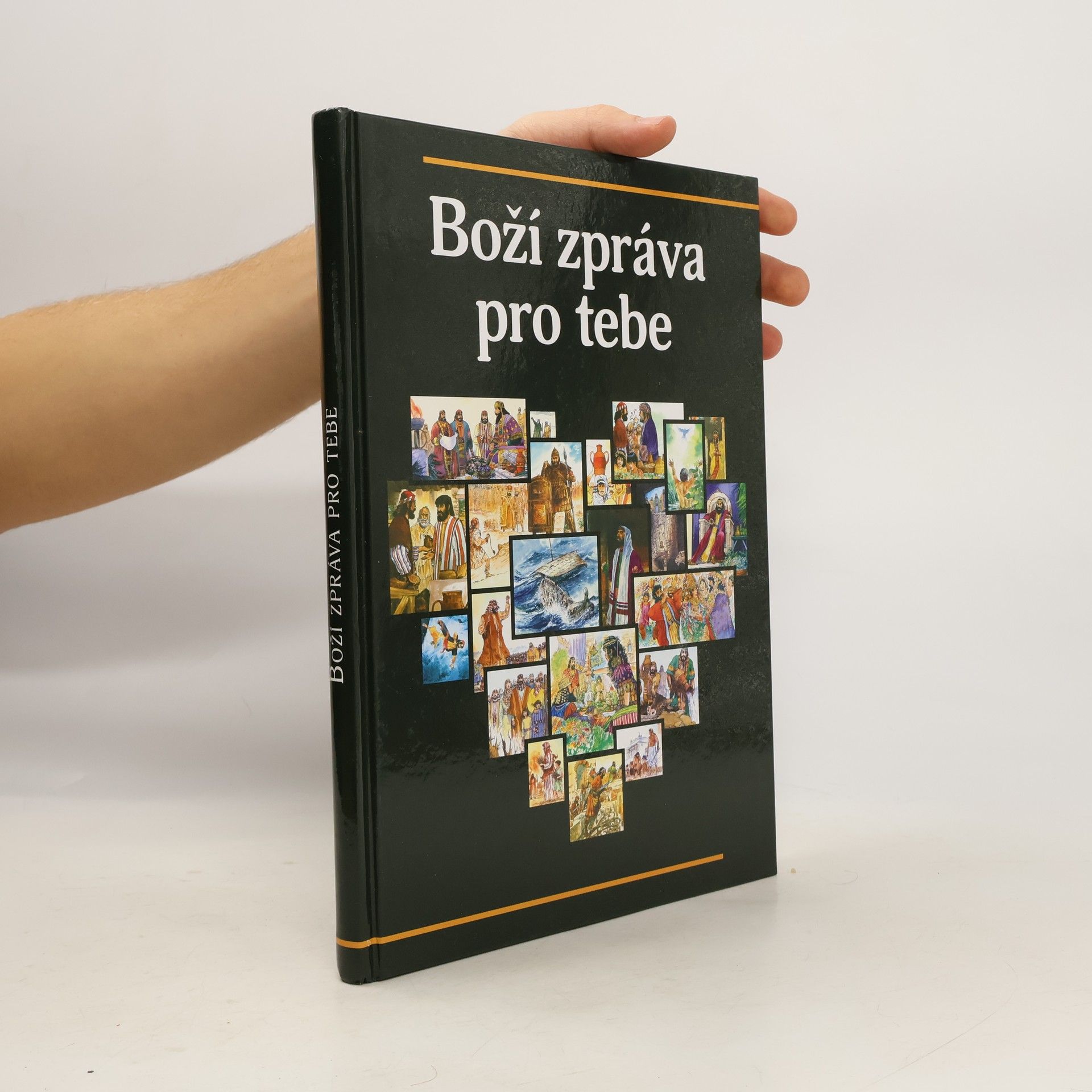 Lynn Camp Boží zpráva pro tebe