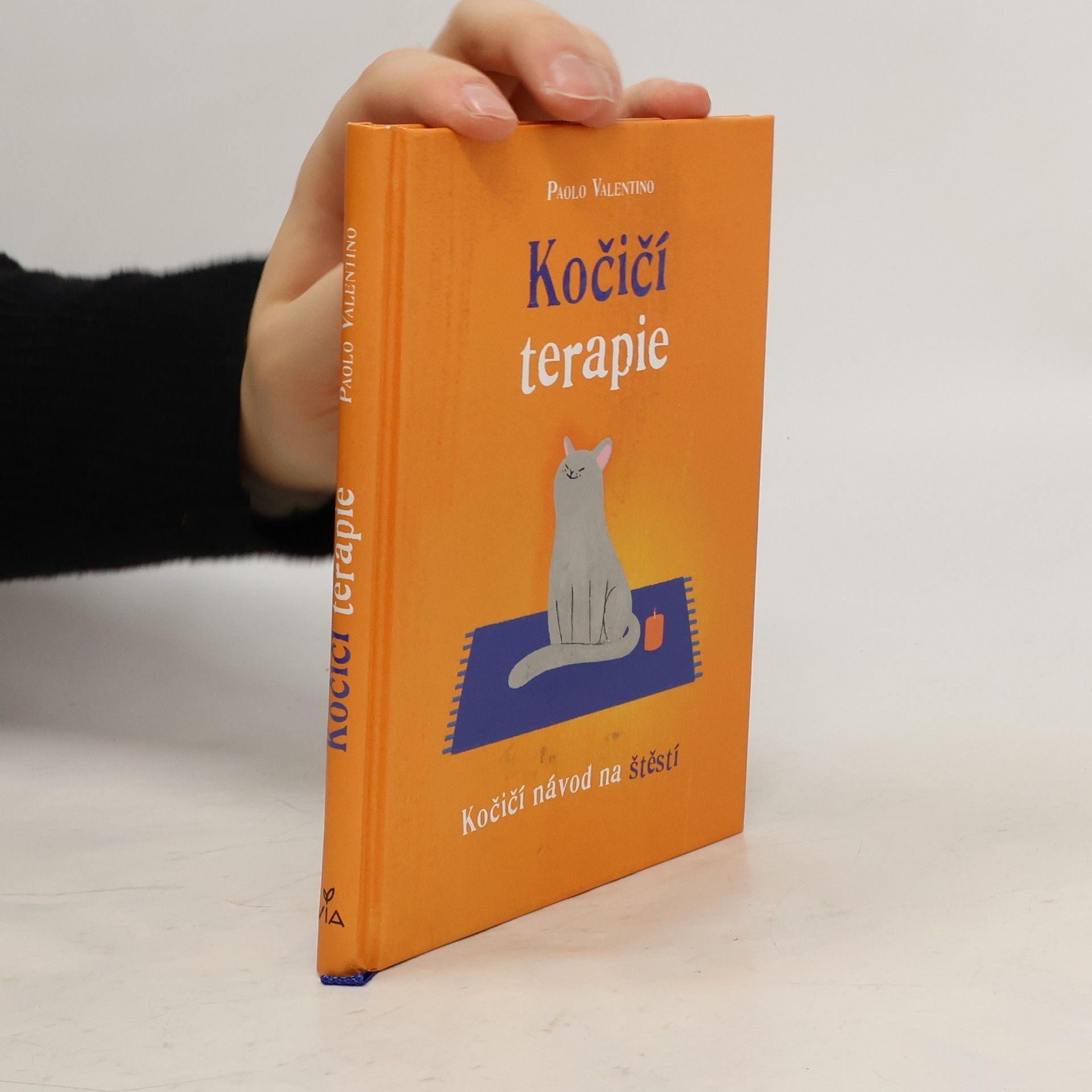 Kočičí terapie. Kočičí návod na štěstí