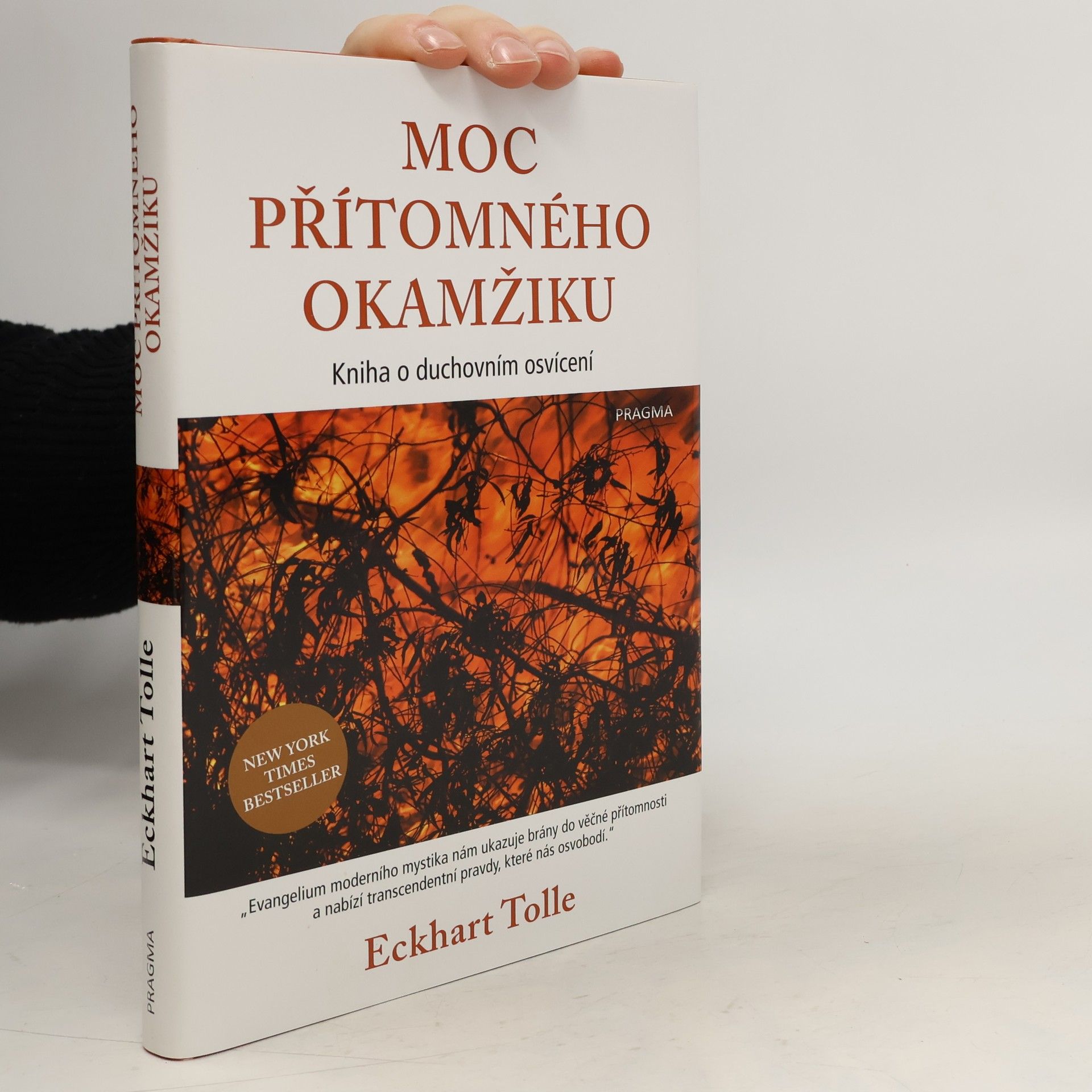Eckhart Tolle Moc přítomného okamžiku