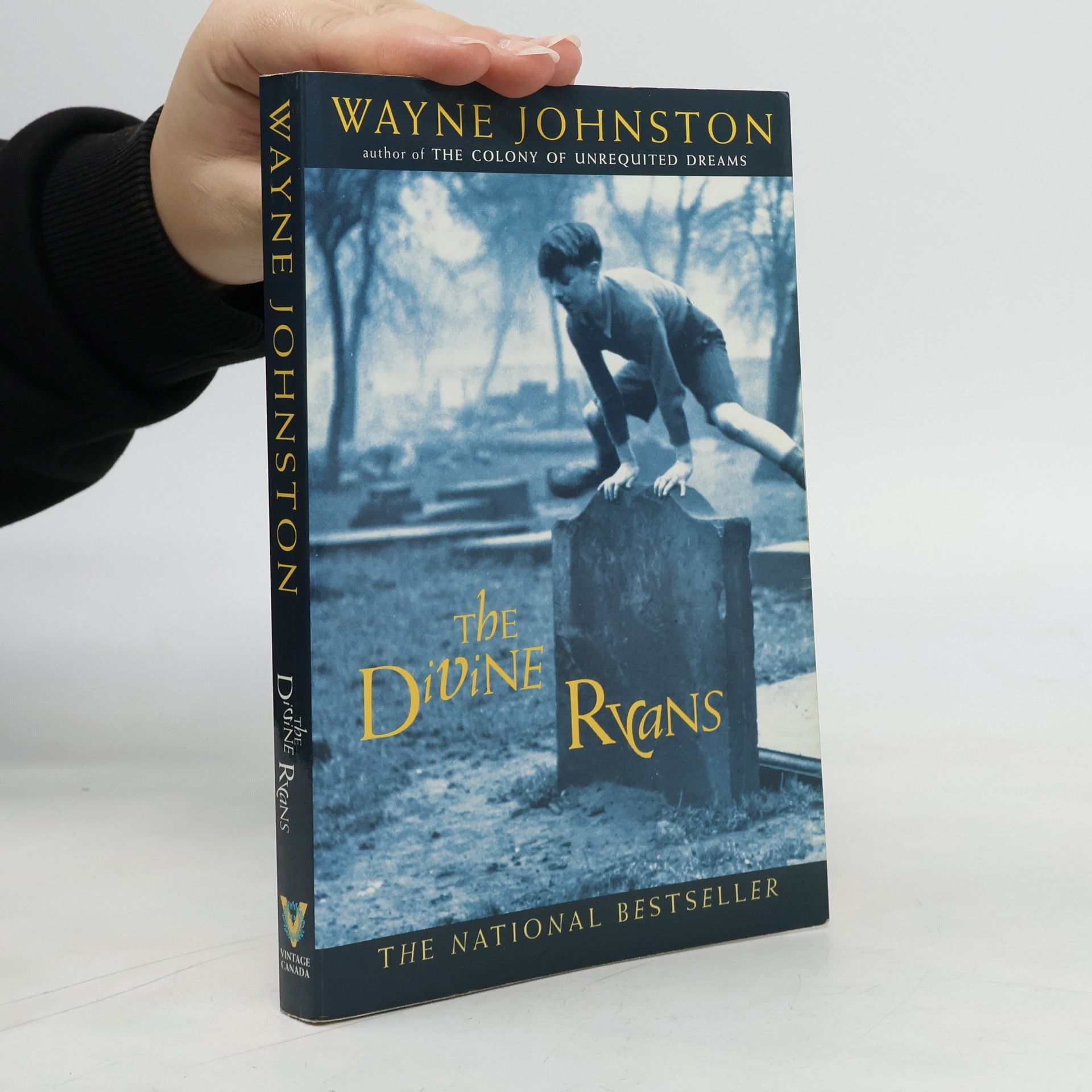 Wayne Johnston The Divine Ryans