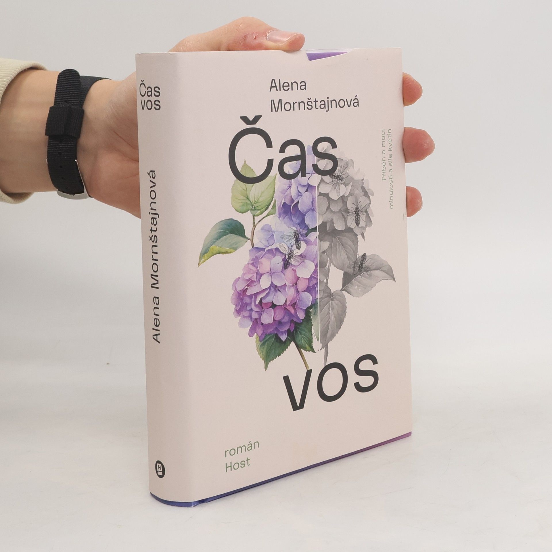 Alena Mornštajnová Čas vos