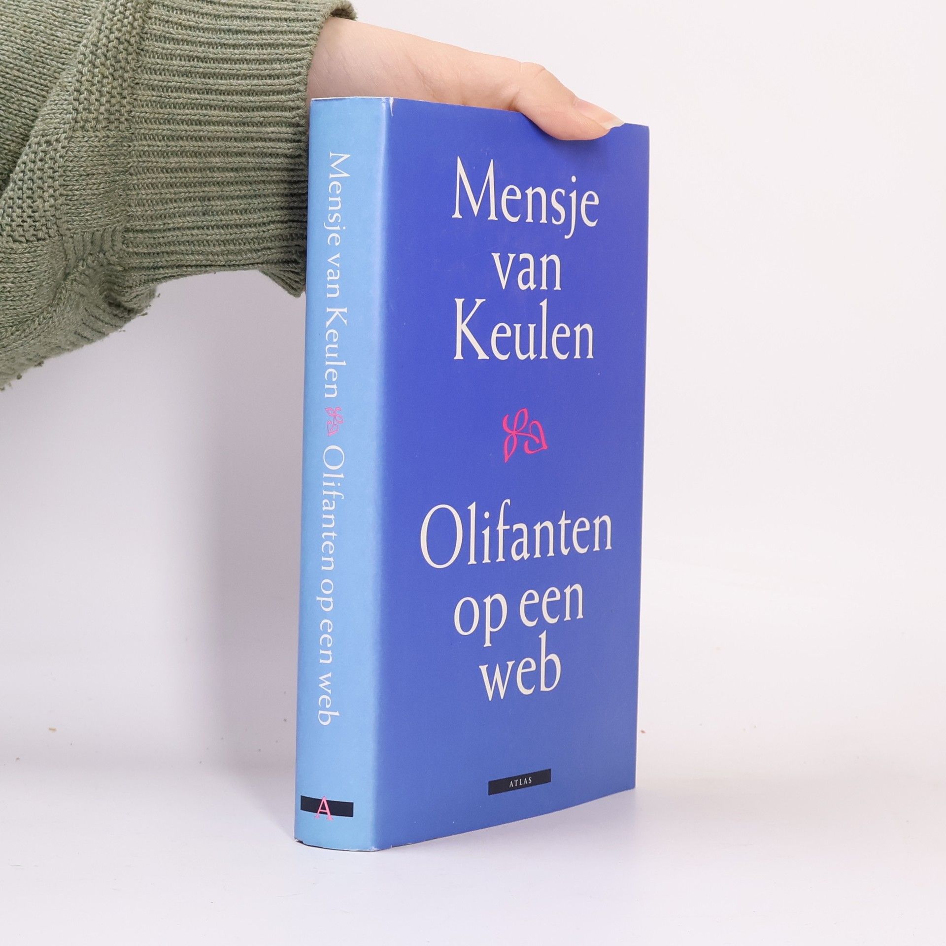 Olifanten op een web