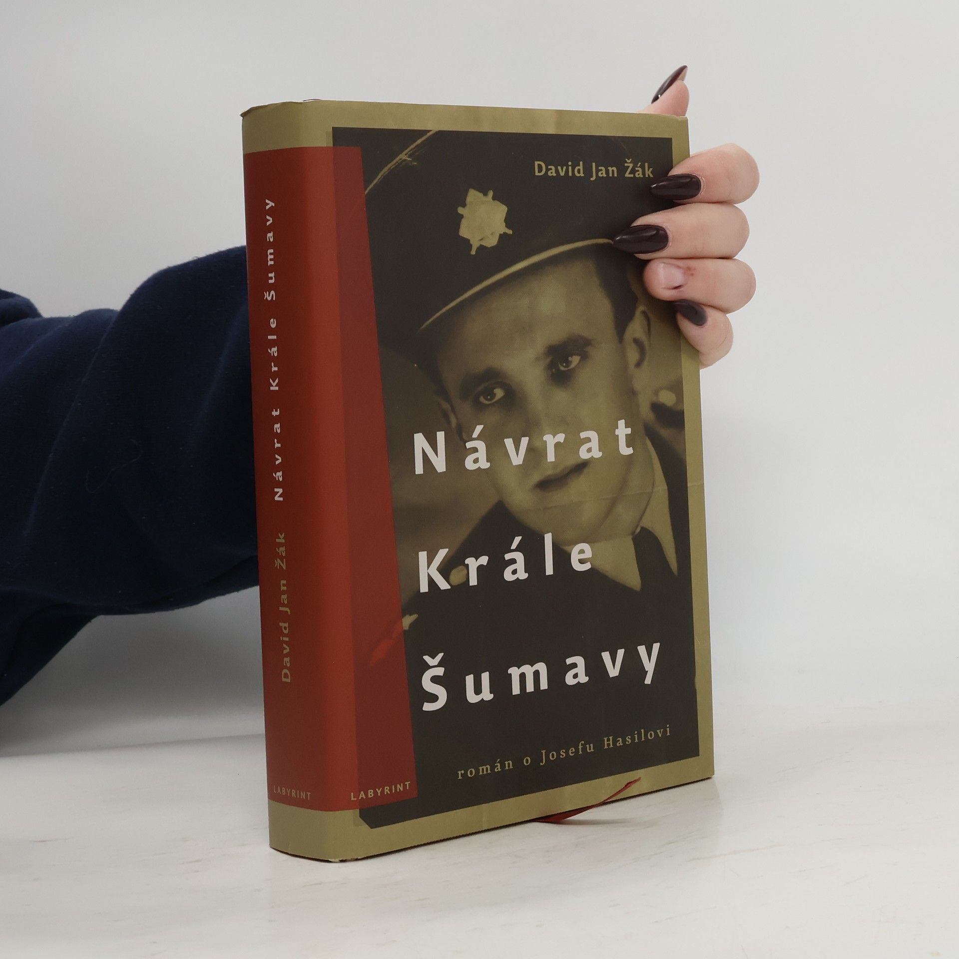 David Jan Žák Návrat Krále Šumavy