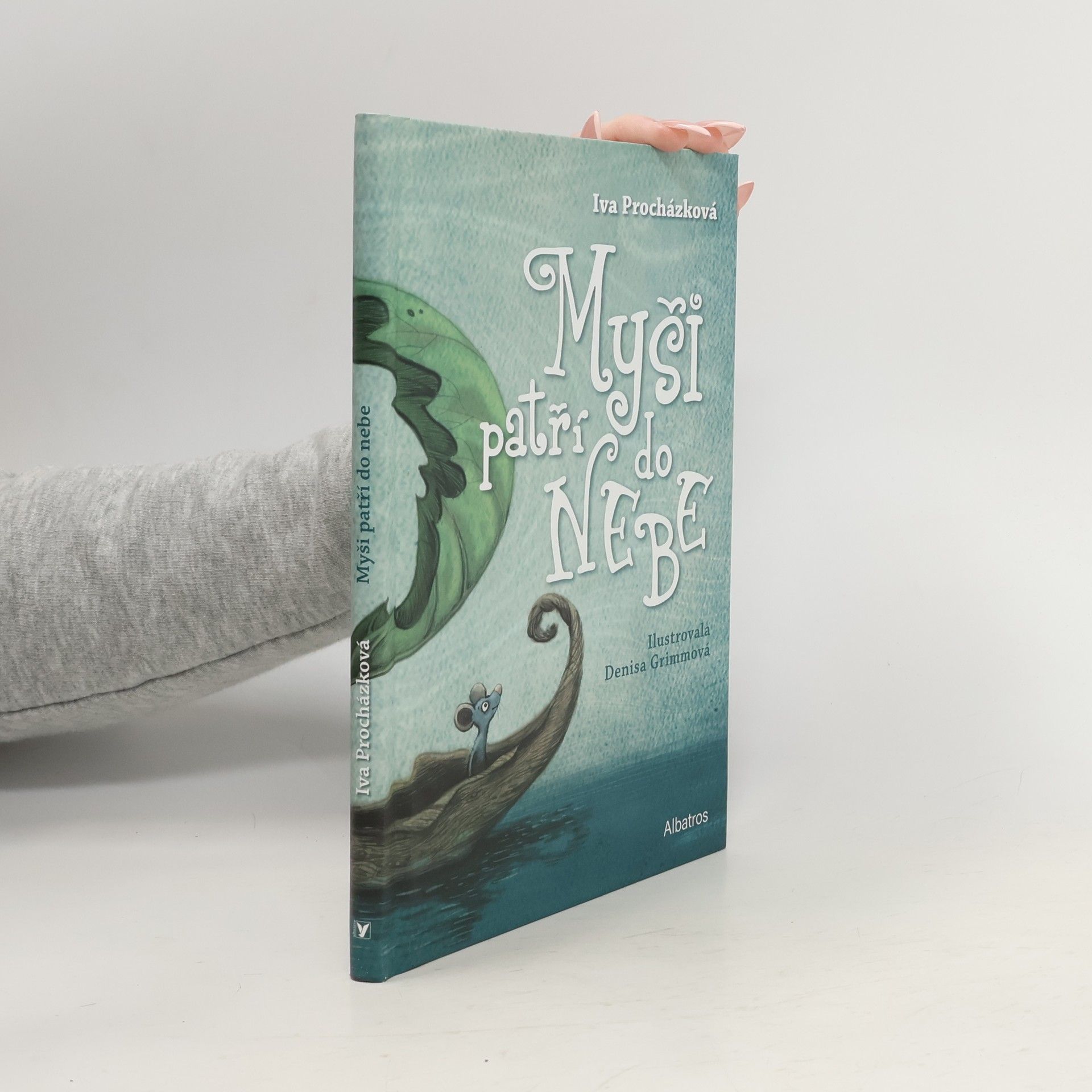 Iva Procházková Myši patří do nebe