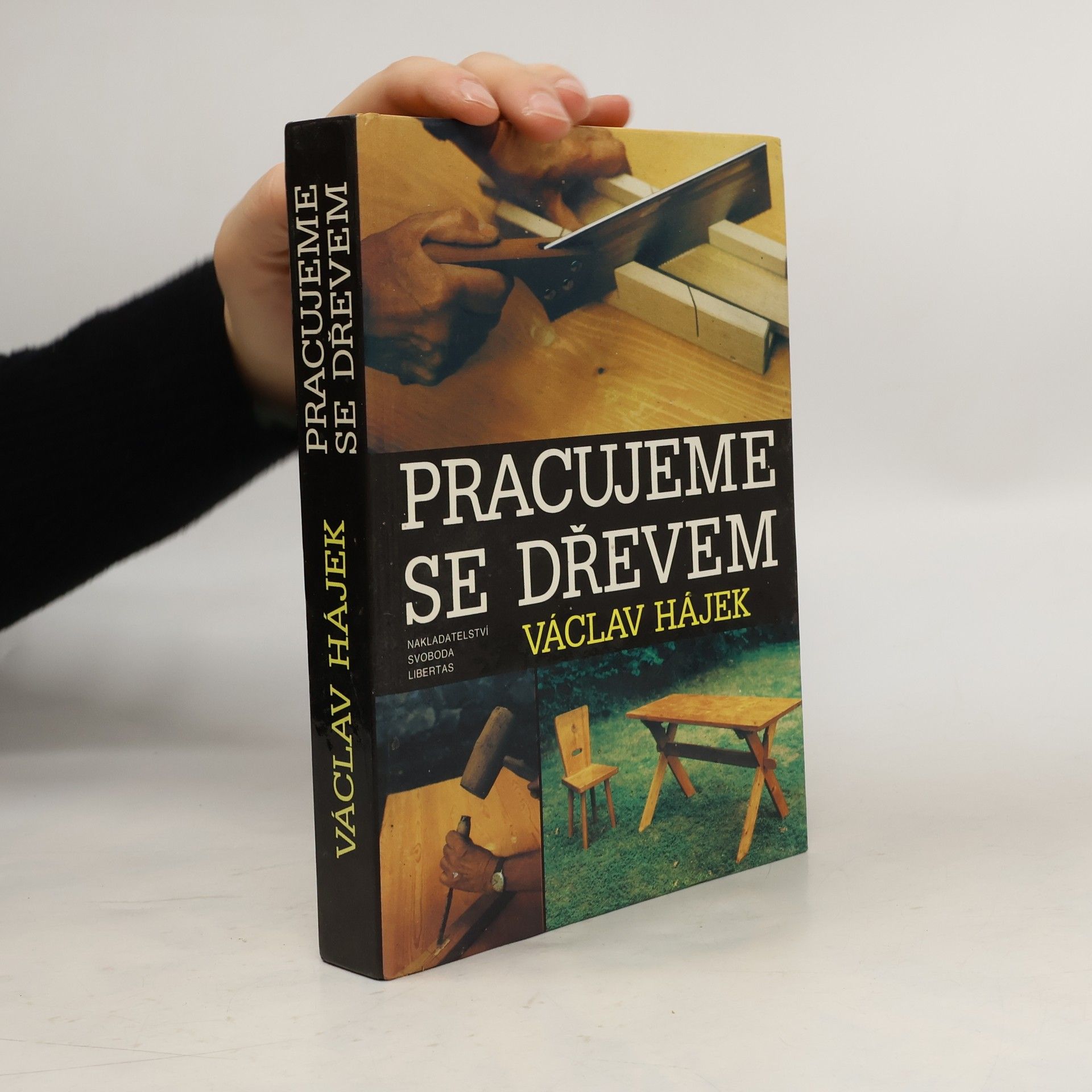 Václav Hájek Pracujeme se dřevem