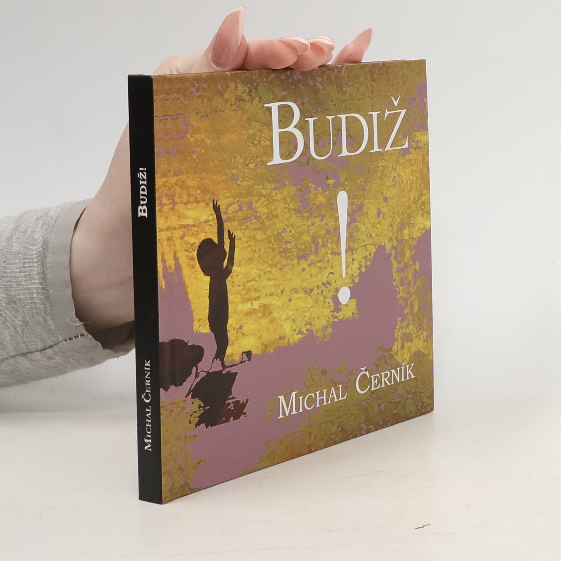 Michal Černík Budiž!