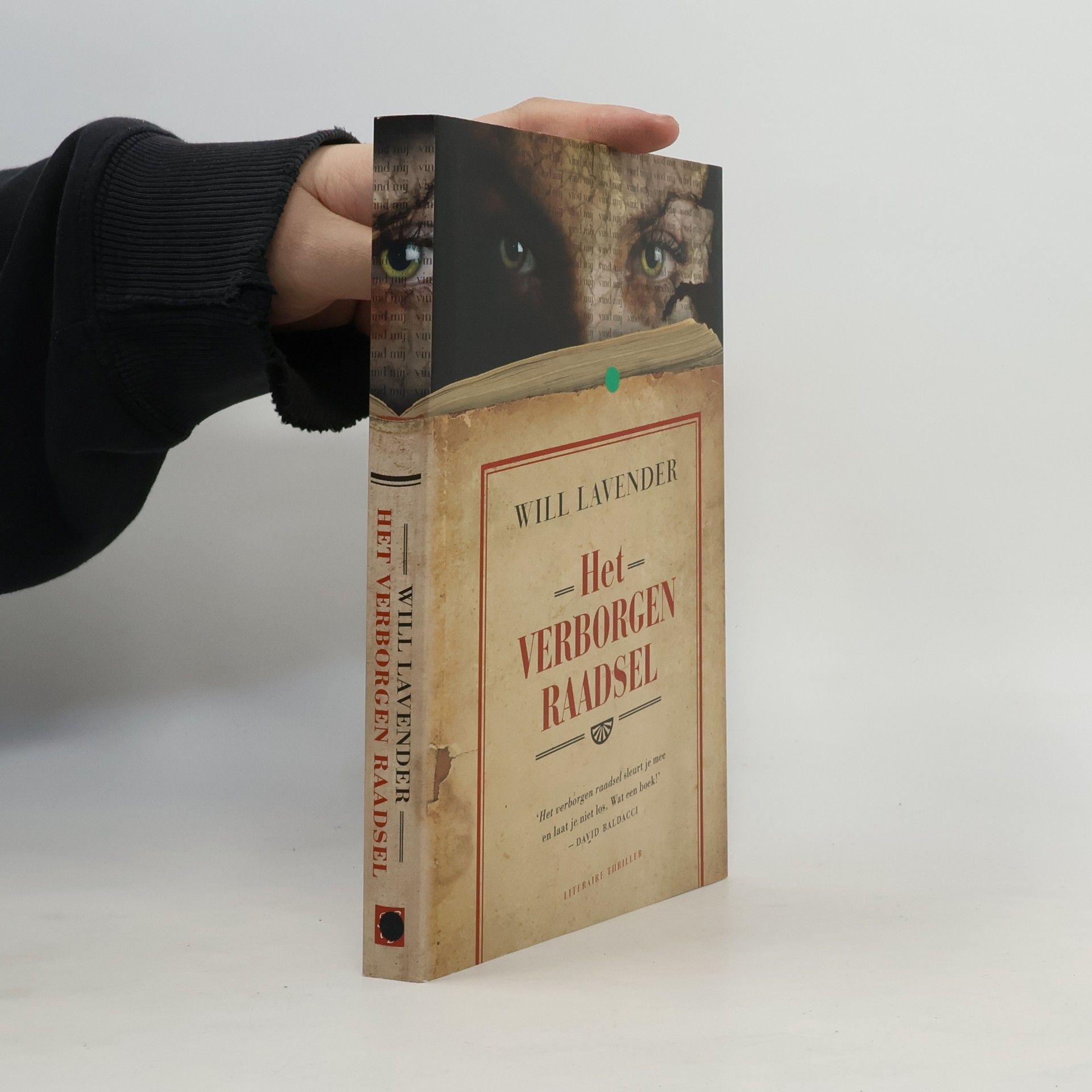 Het verborgen raadsel