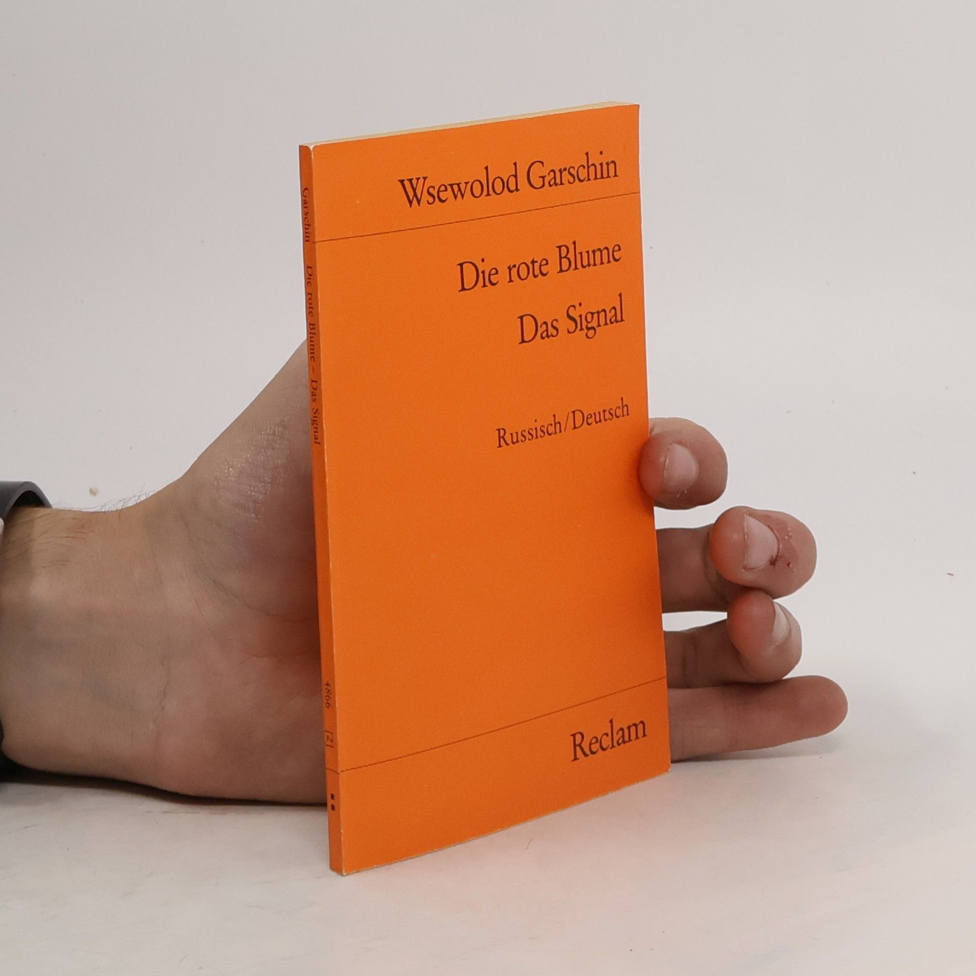 Vsevolod Garshin Die rote Blume / Das Signal