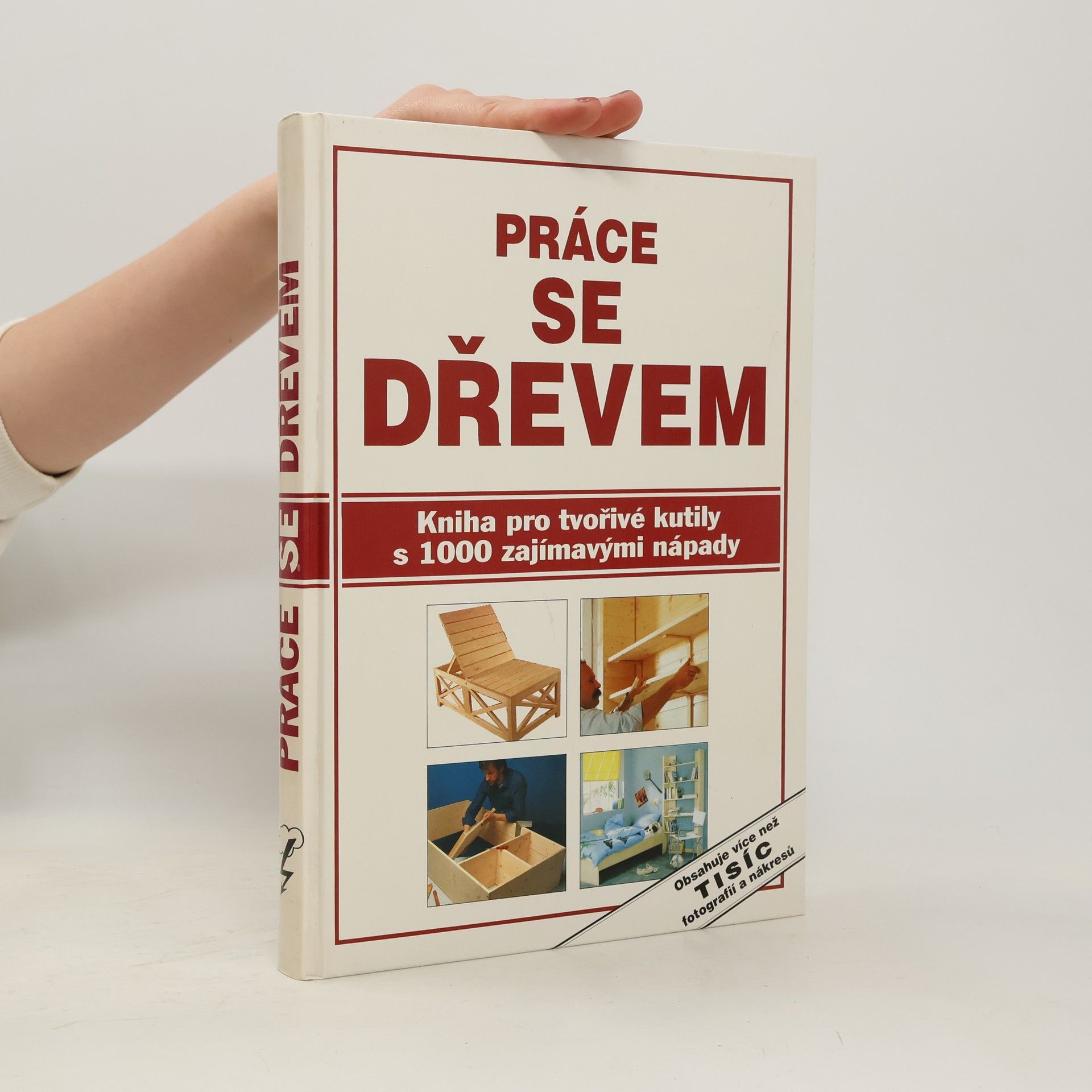 Marie Míčová Práce se dřevem