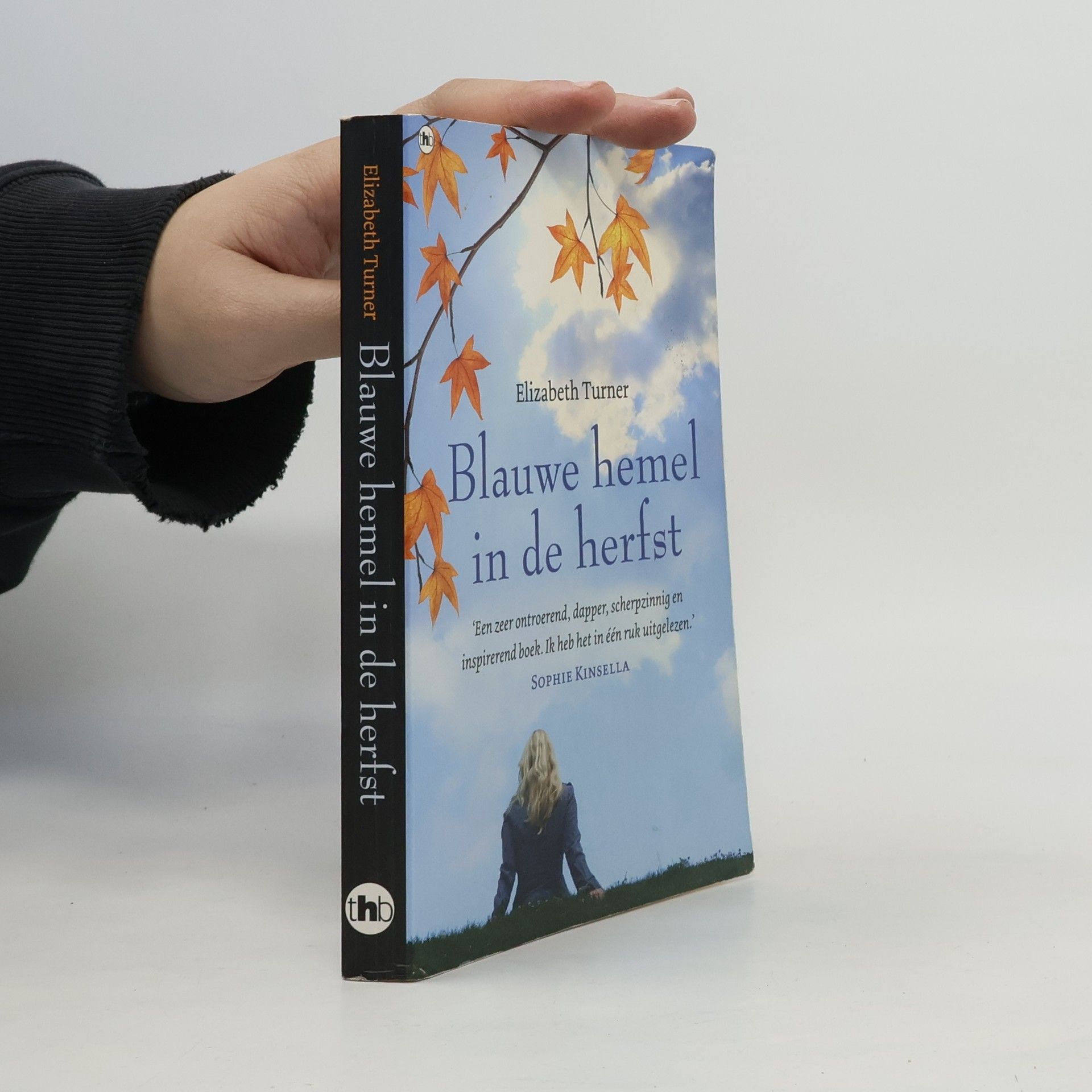 Elizabeth Turner Blauwe hemel in de herfst - druk 1