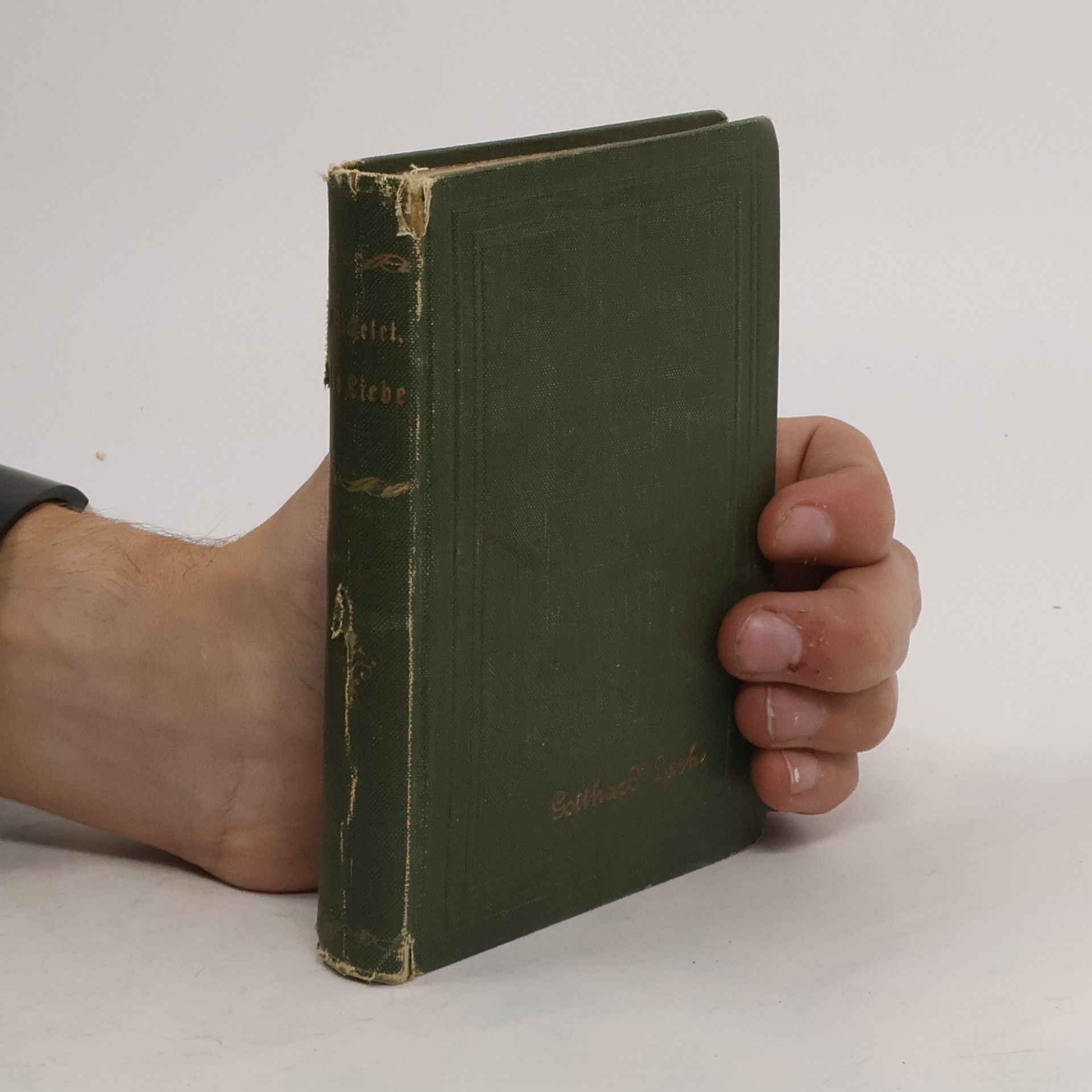 Jules Michelet Die Liebe