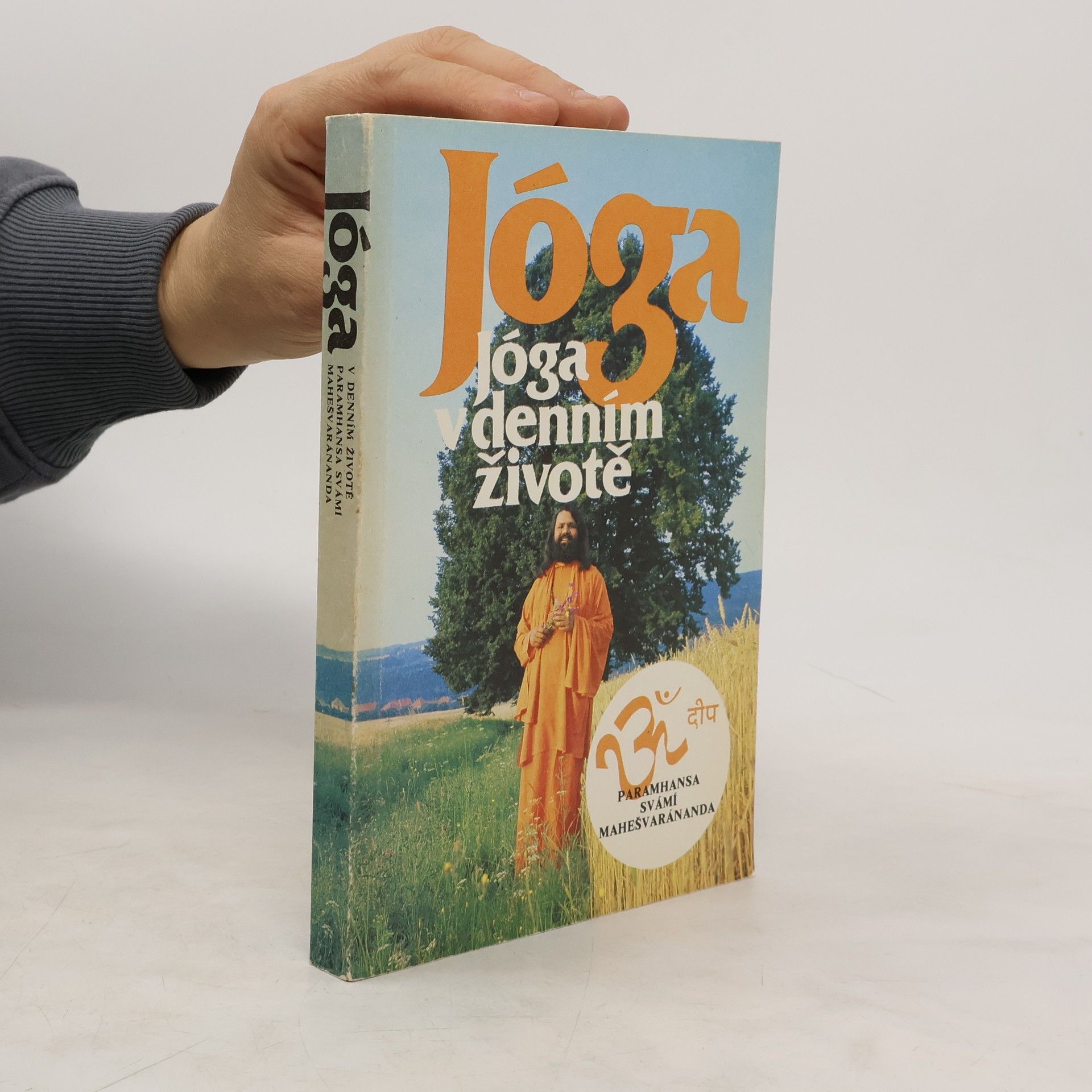 Jóga v denním životě