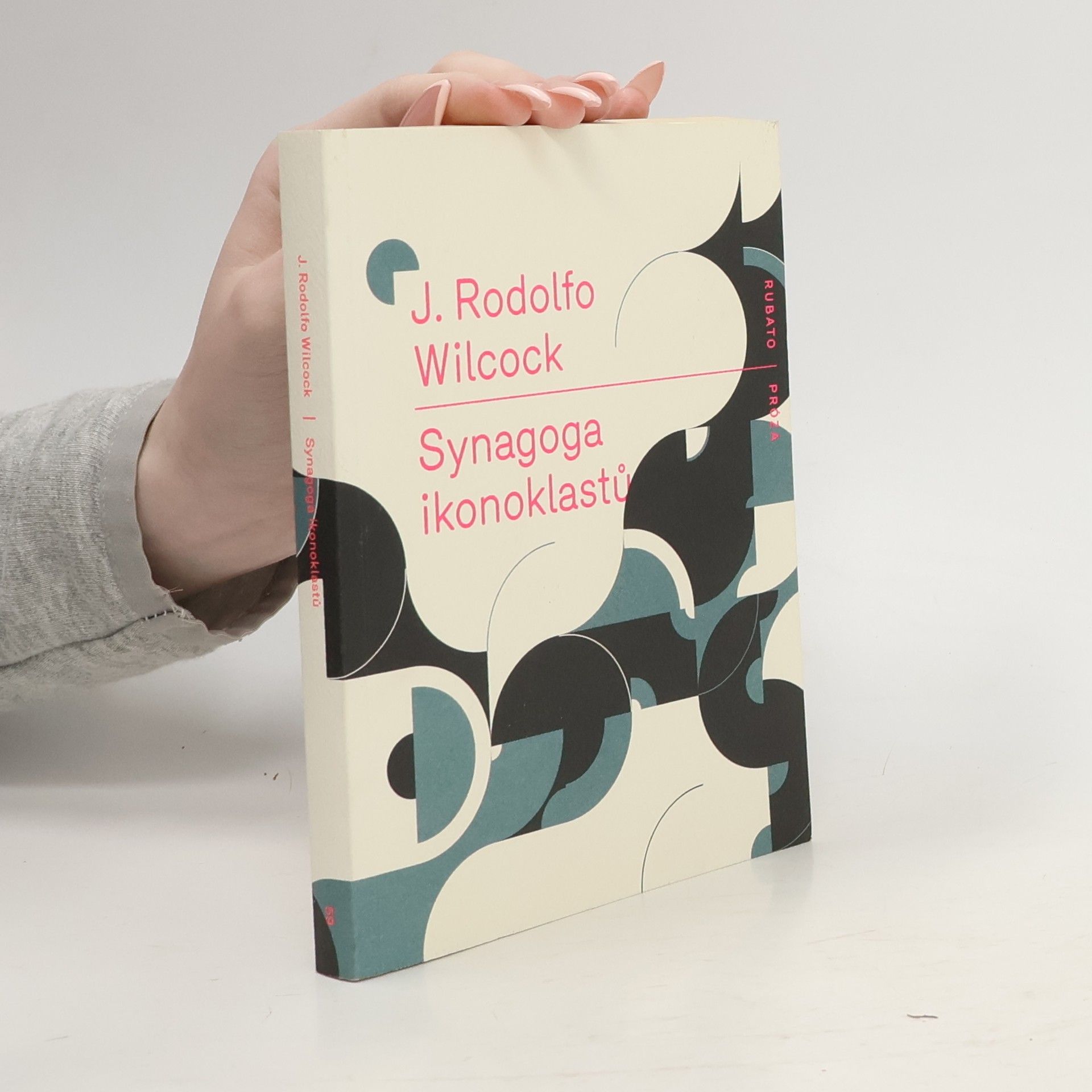 Juan Rodolfo Wilcock Synagoga ikonoklastů