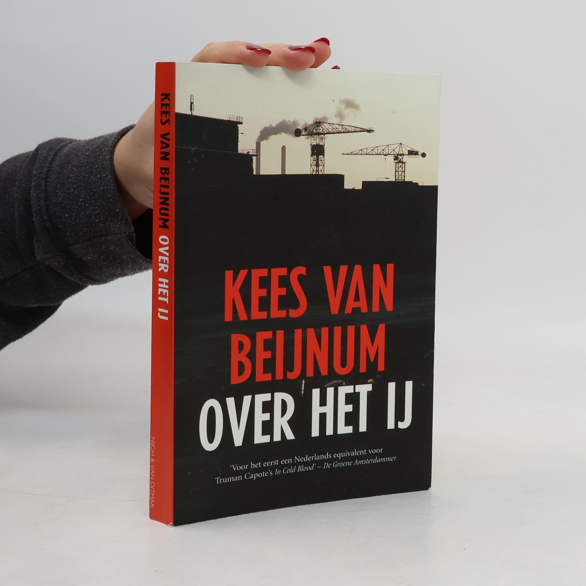 Kees van Beijnum Over het IJ