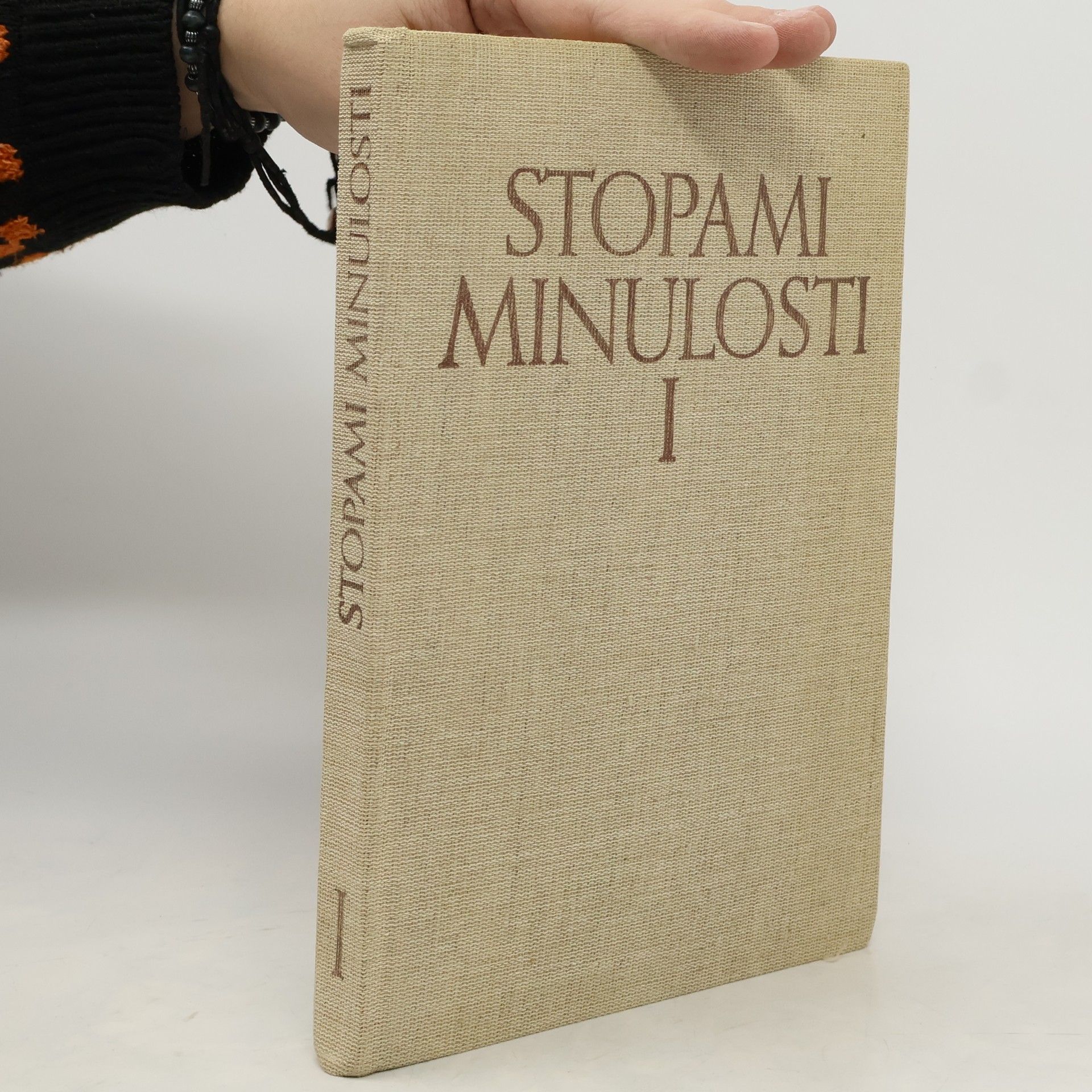 Stopami minulosti. Kapitoly z dějin Moravy a Slezska, díl I