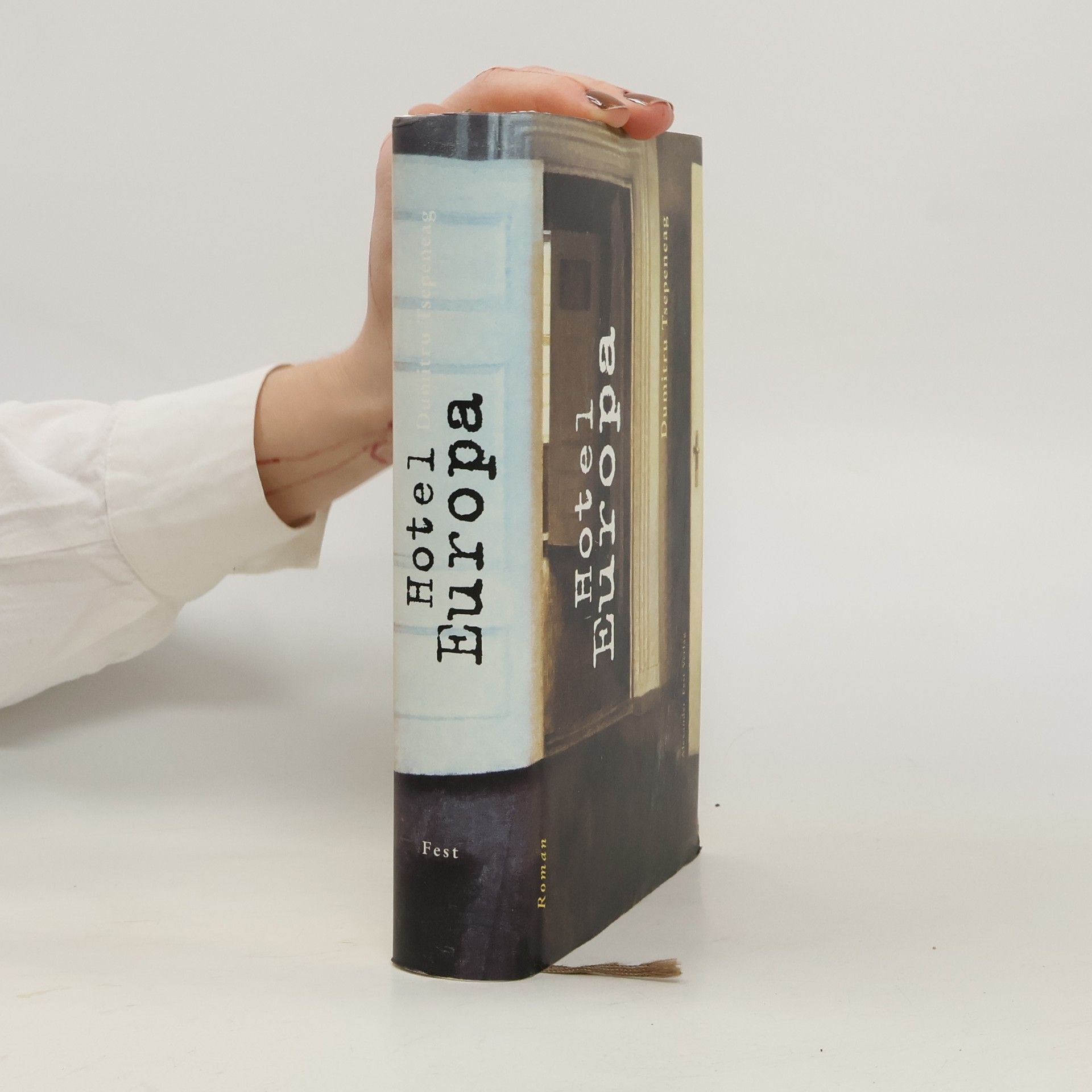 Dumitru Ţepeneag Hotel Europa