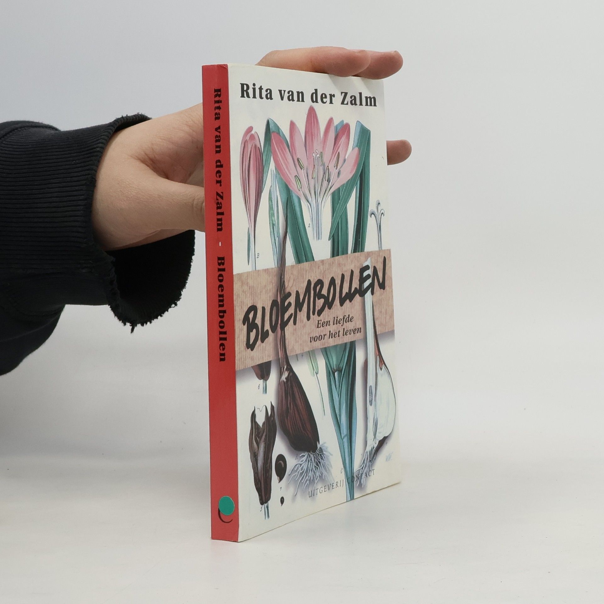 Rita van der Zalm Bloembollen