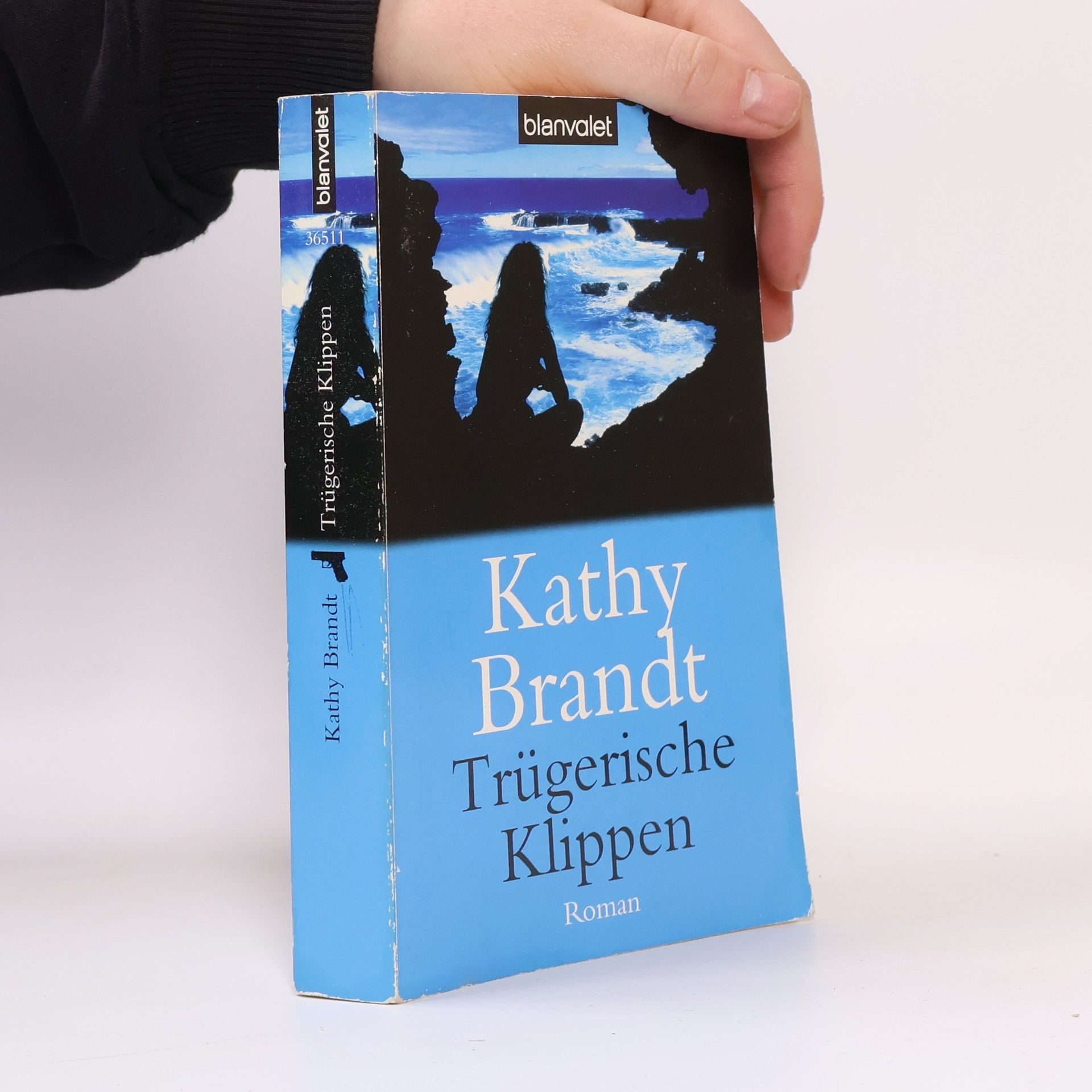 Kathy Brandt Trügerische Klippen