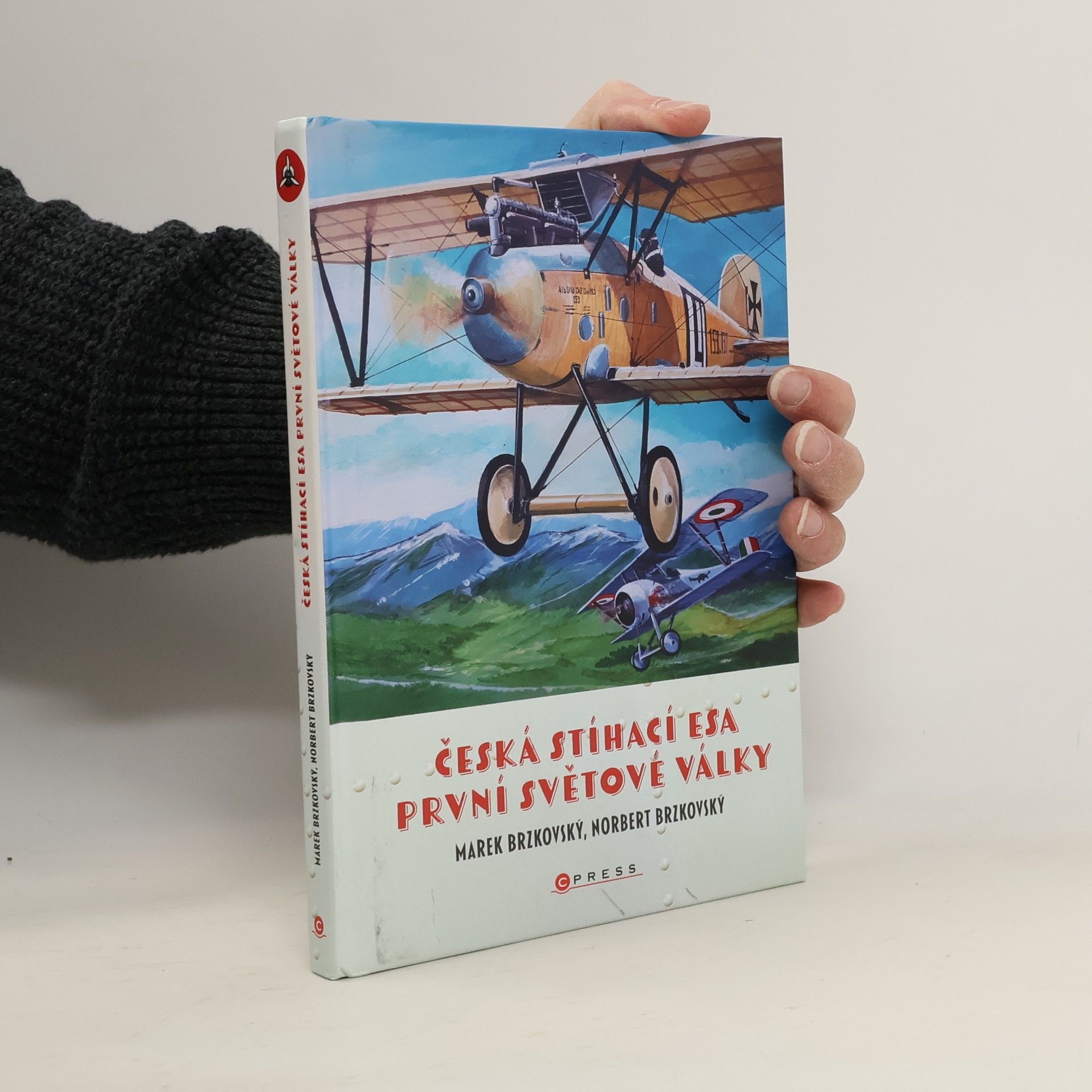 Česká stíhací esa první světové války