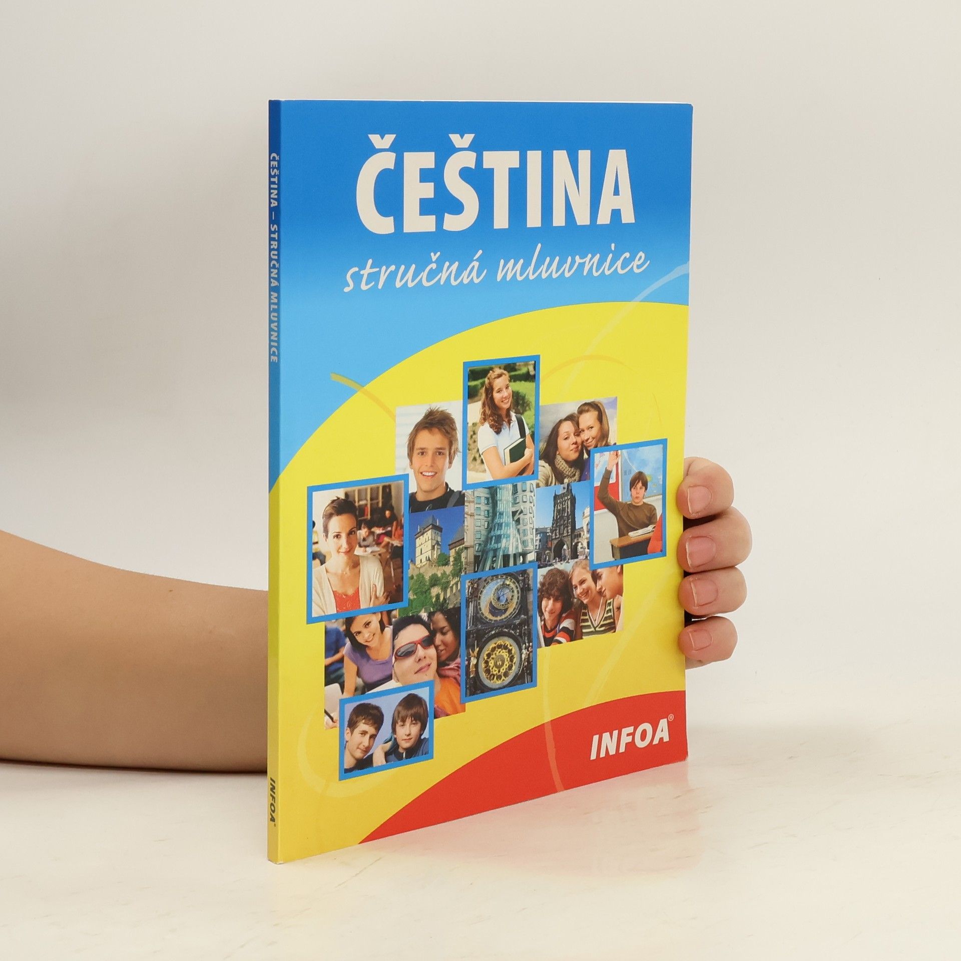 Čeština. Stručná mluvnice