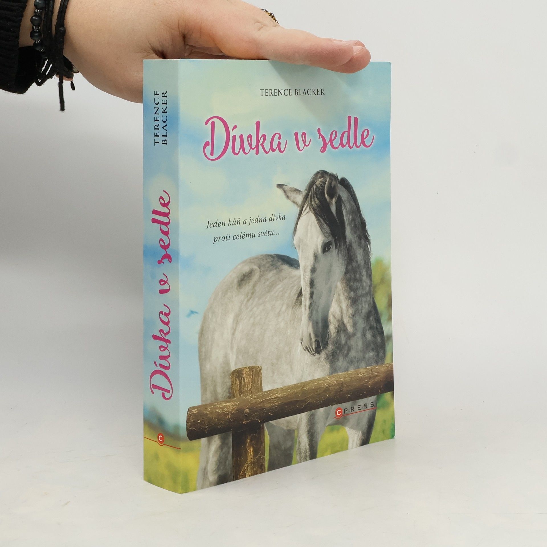 Terence Blacker Dívka v sedle