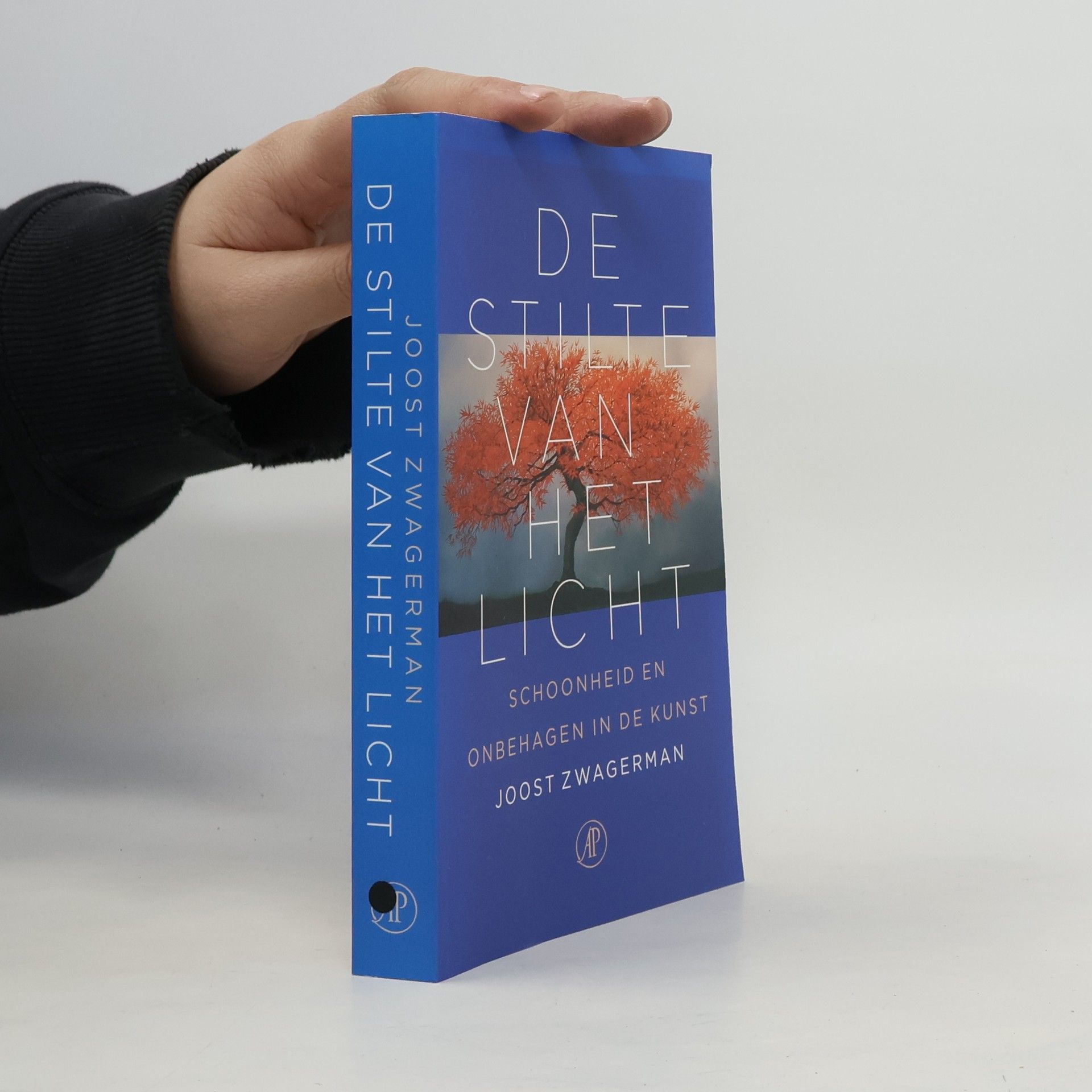 Joost Zwagerman De stilte van het licht