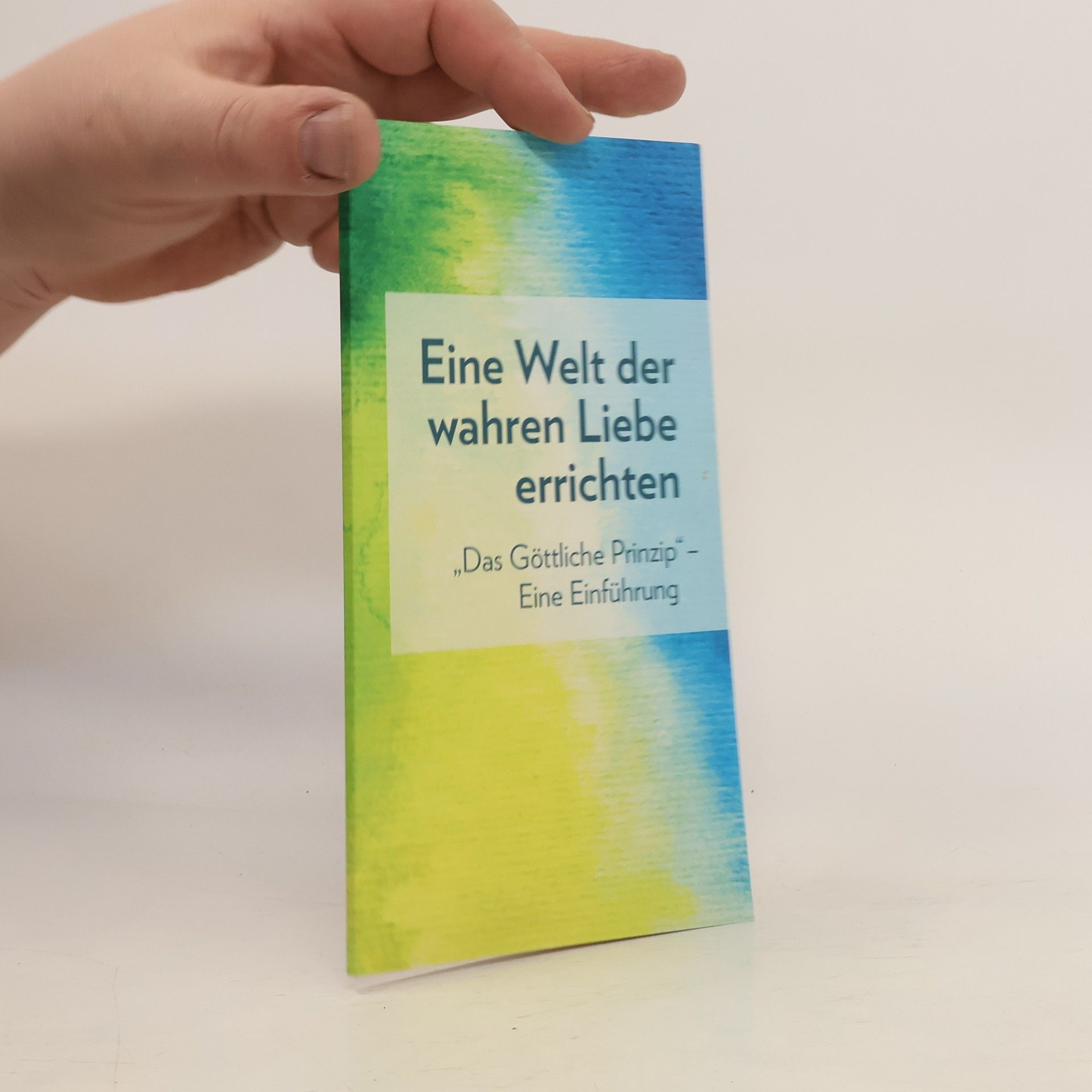 AA.VV. Eine Welt der wahren Liebe errichten