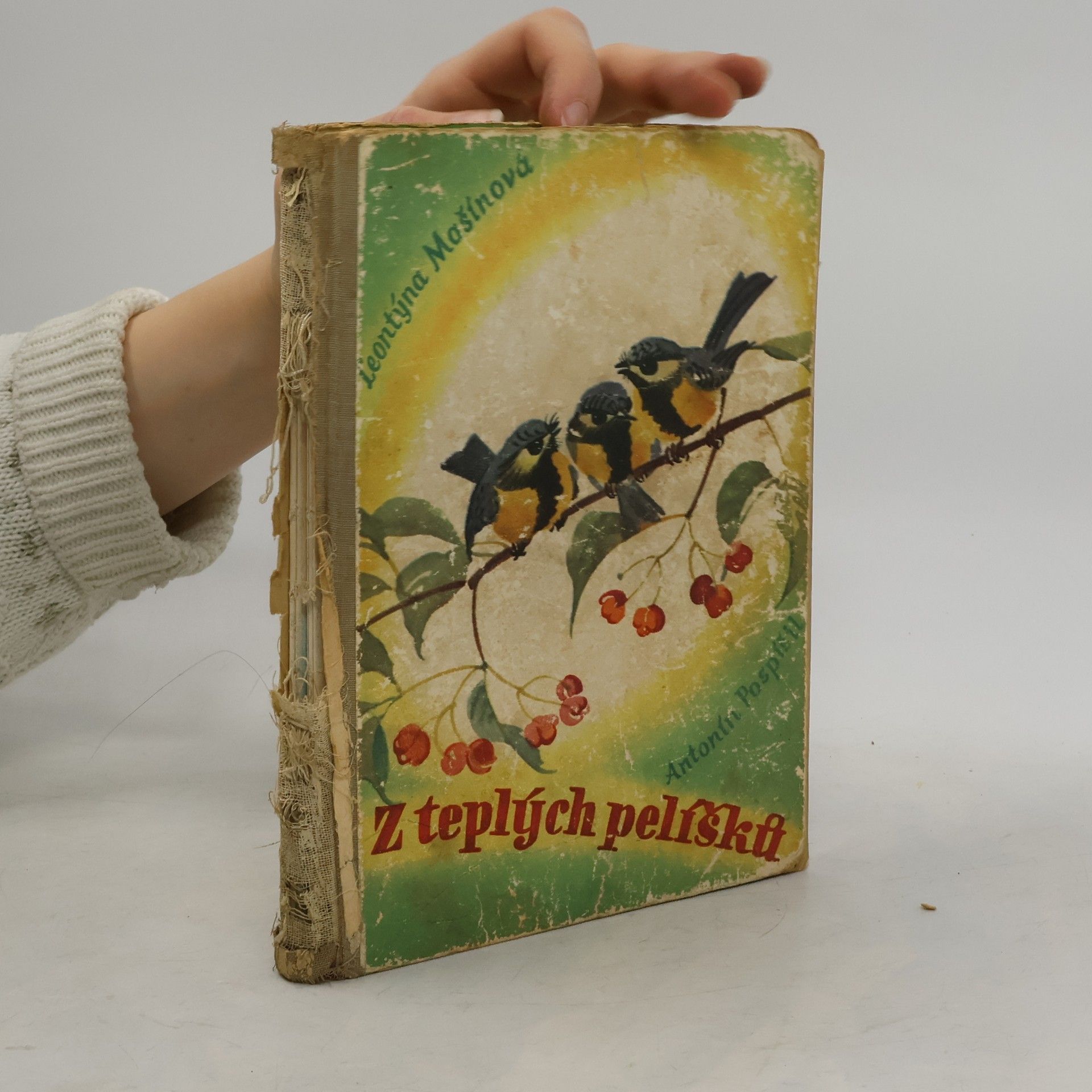 Z teplých pelíšků