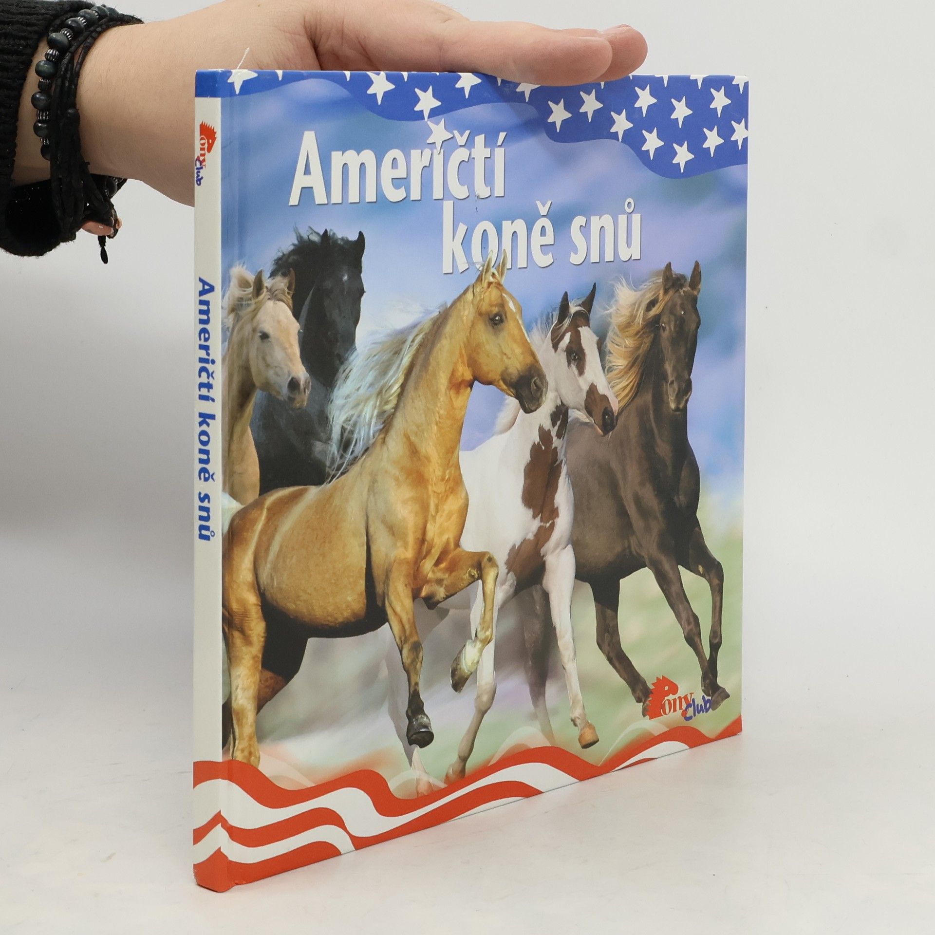 Kolektiv autorů Američtí koně snů