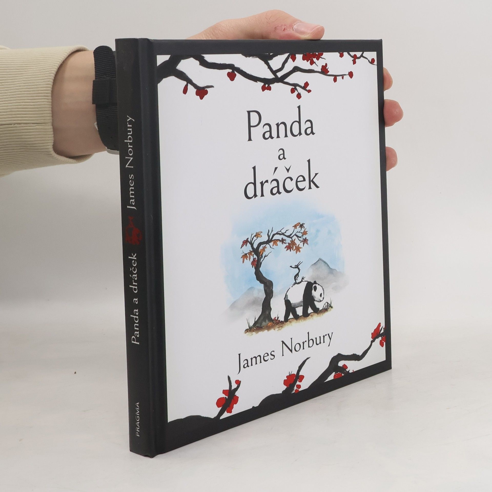 James Norbury Panda a dráček