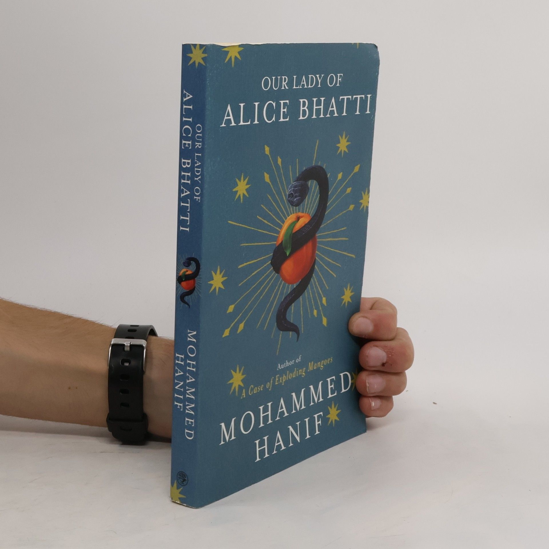 Mohammed Hanif Our Lady of Alice Bhatti