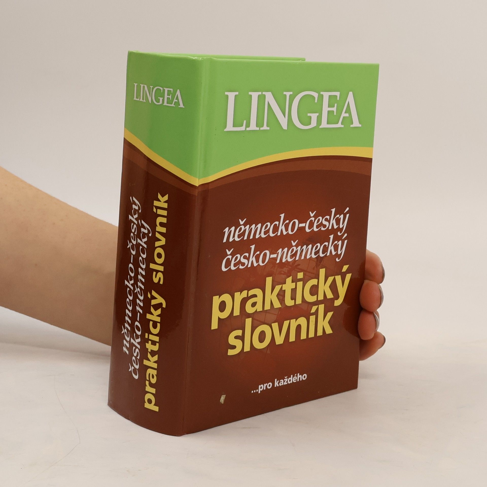 Autorenkollektiv Německo-český, česko-německý praktický slovník