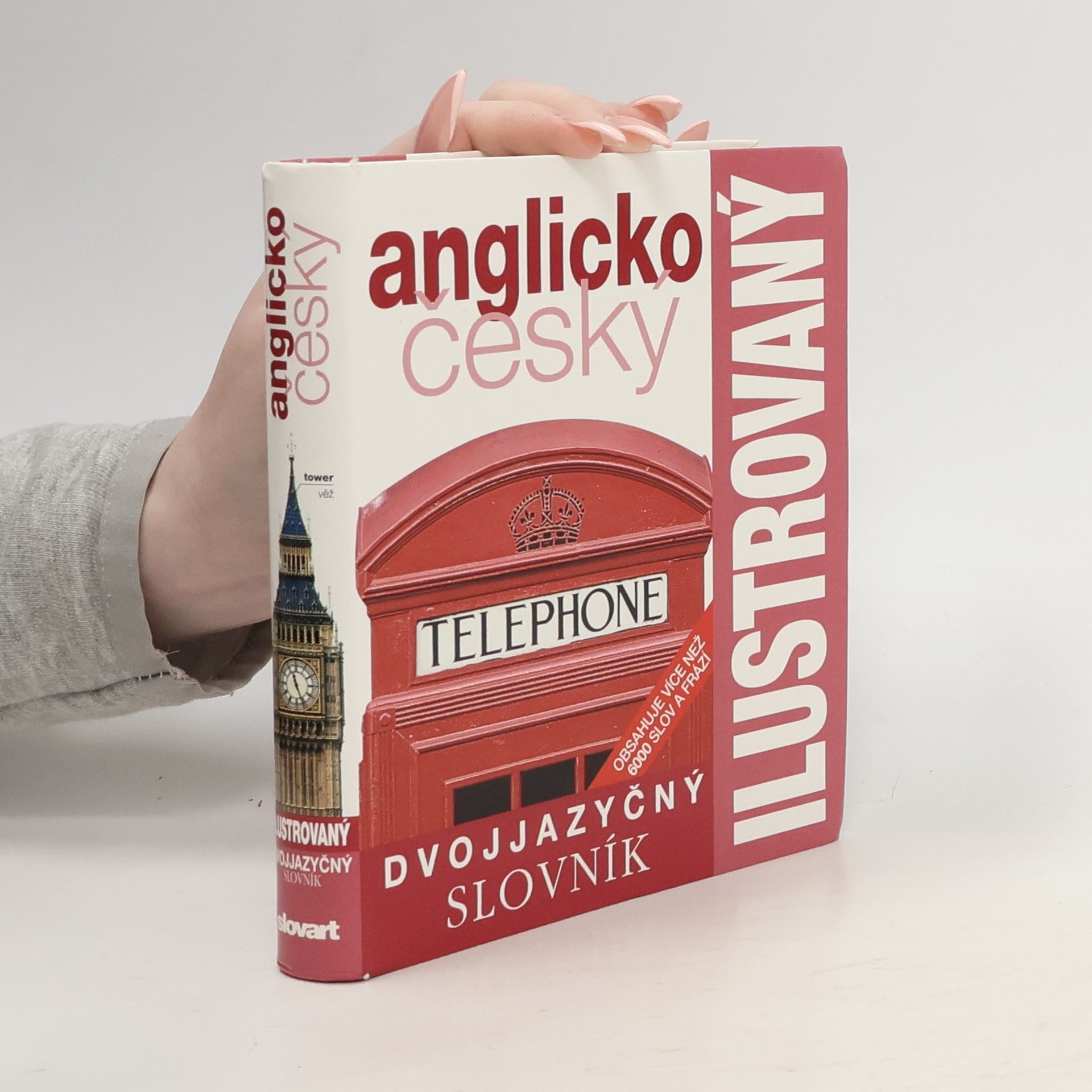 Kolektív autorov Dvojjazyčný ilustrovaný slovník