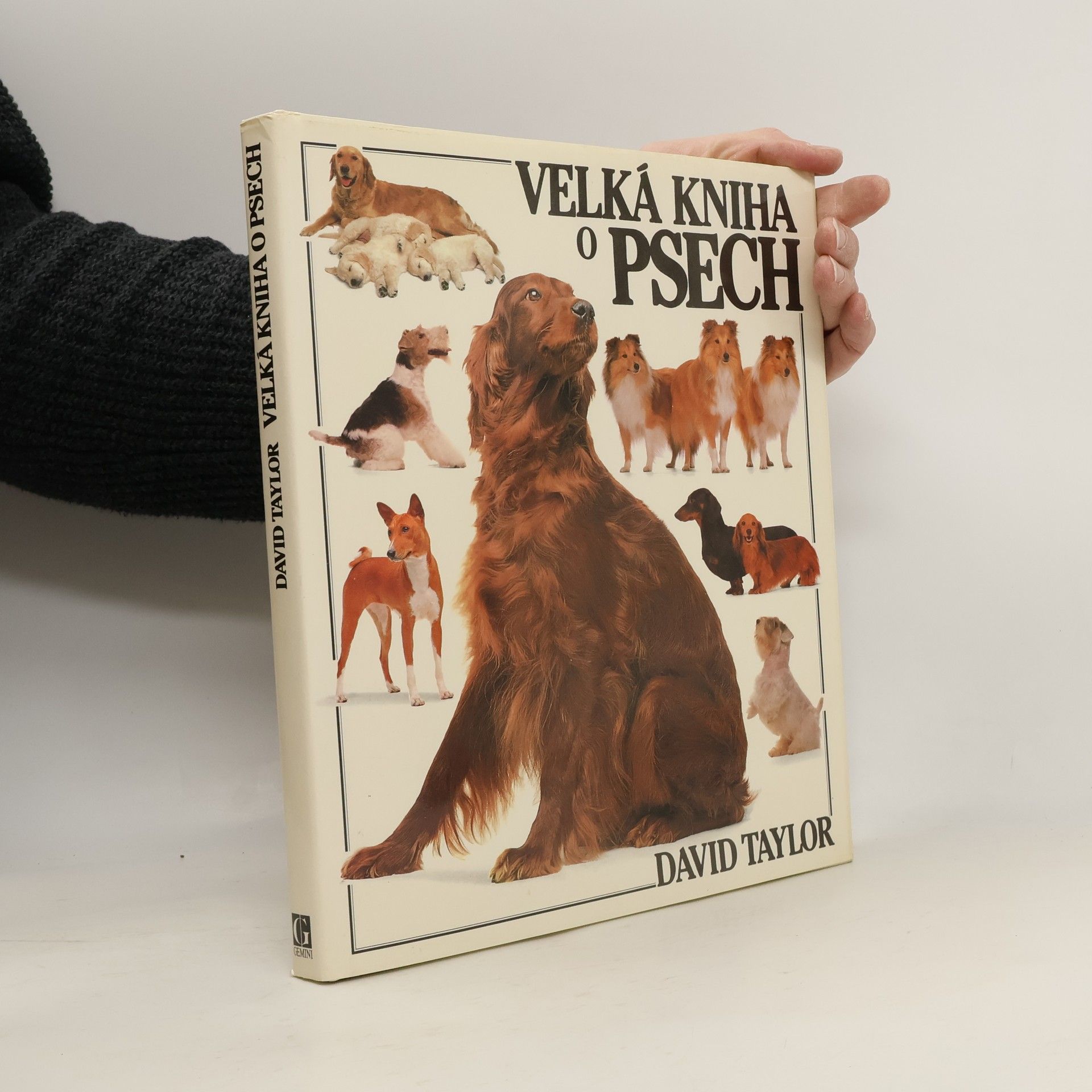David Taylor Velká kniha o psech