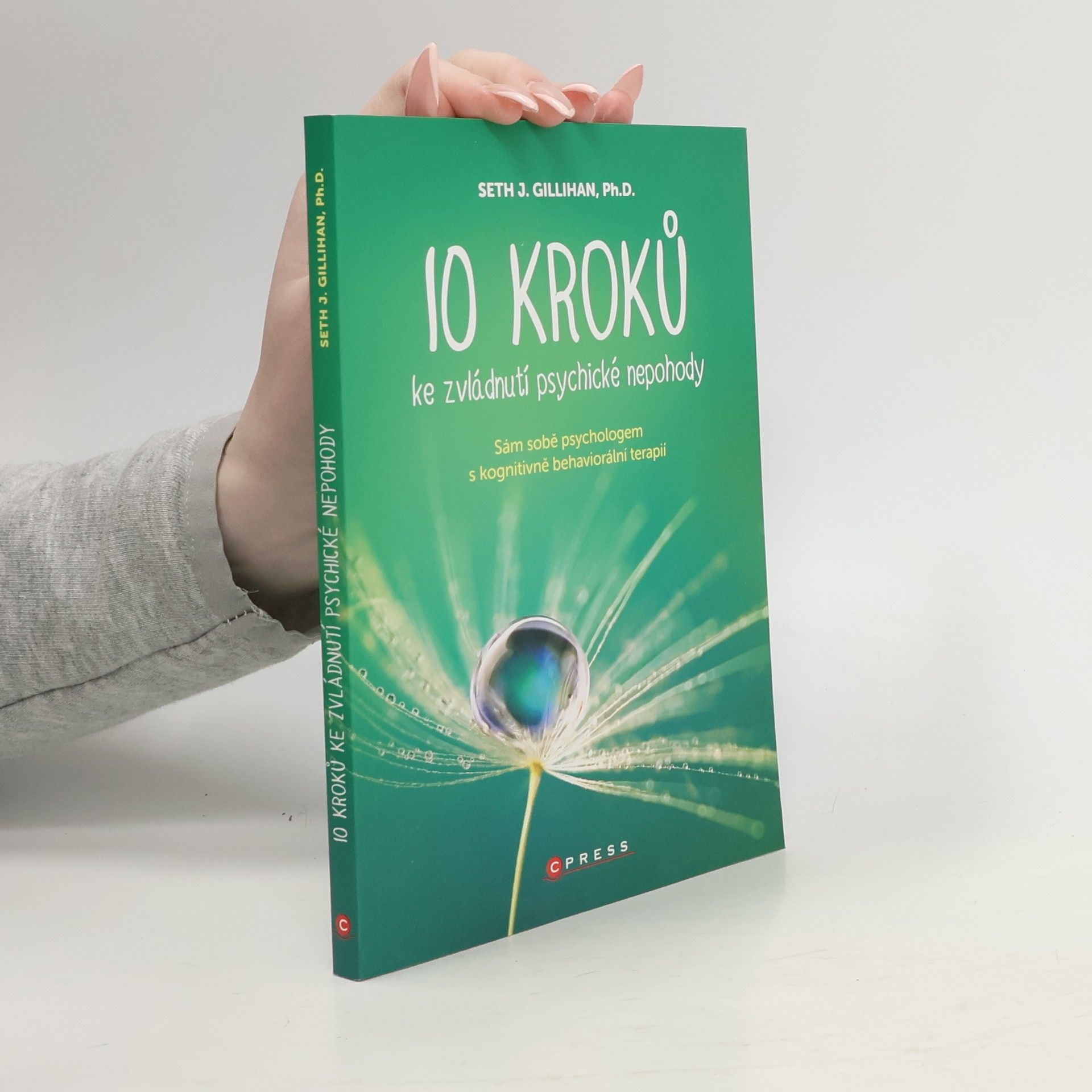 Seth Gillihan 10 kroků ke zvládnutí psychické nepohody: Sám sobě psychologem s kognitivně behaviorální terapií