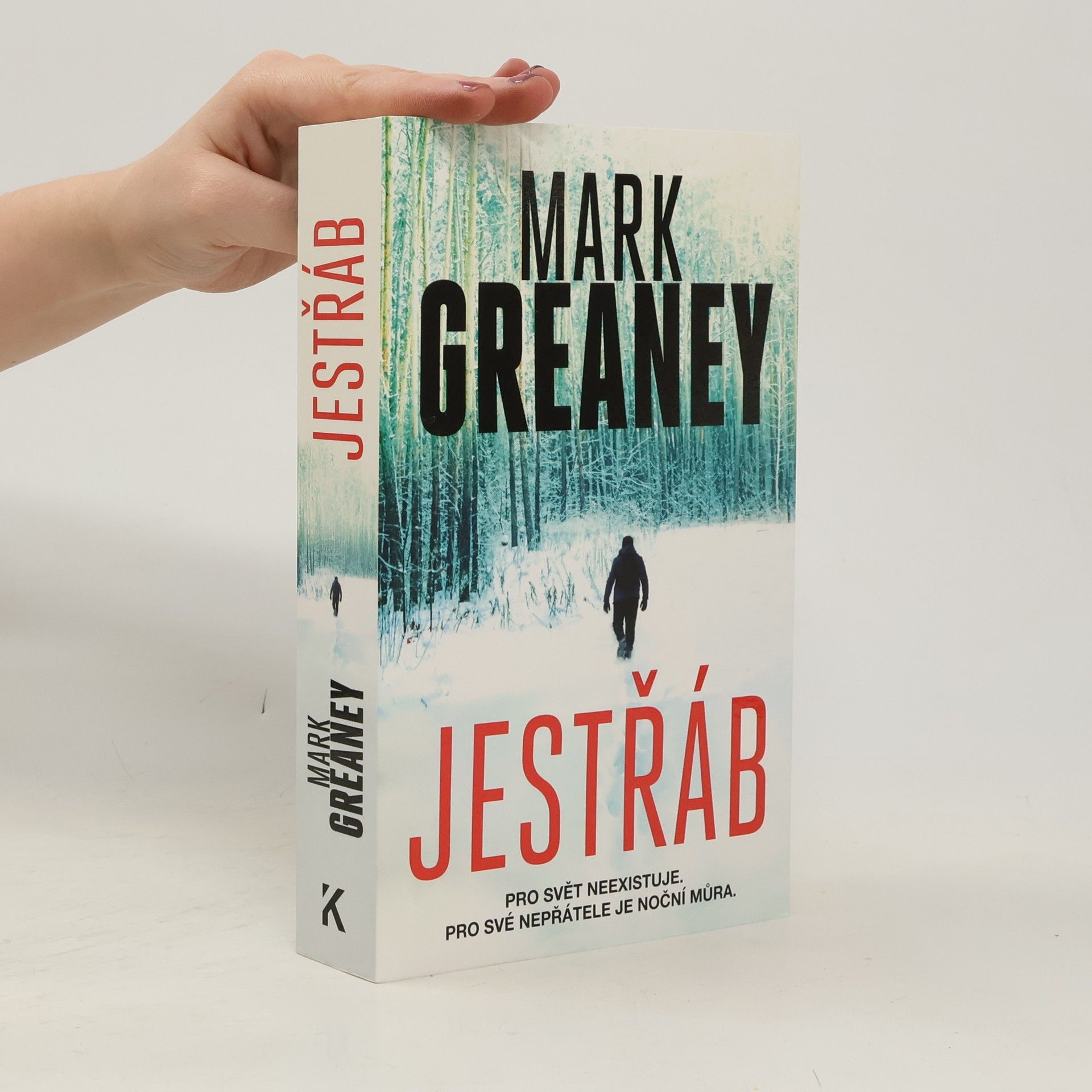 Mark Greaney Jestřáb