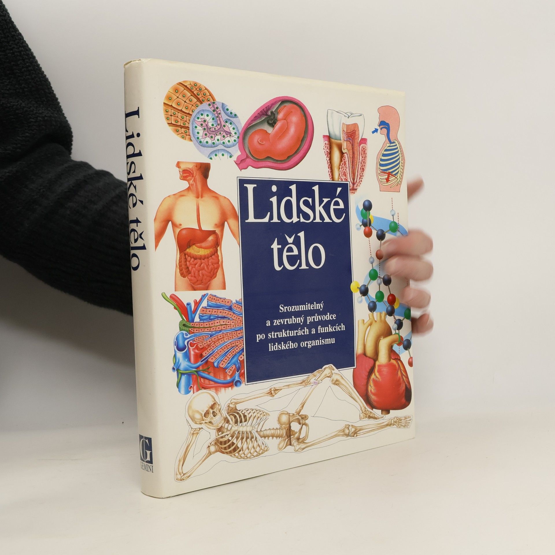 Collectif d'auteurs Lidské tělo : Srozumitelný a zevrubný průvodce po strukturách a funkcích lidského organismu