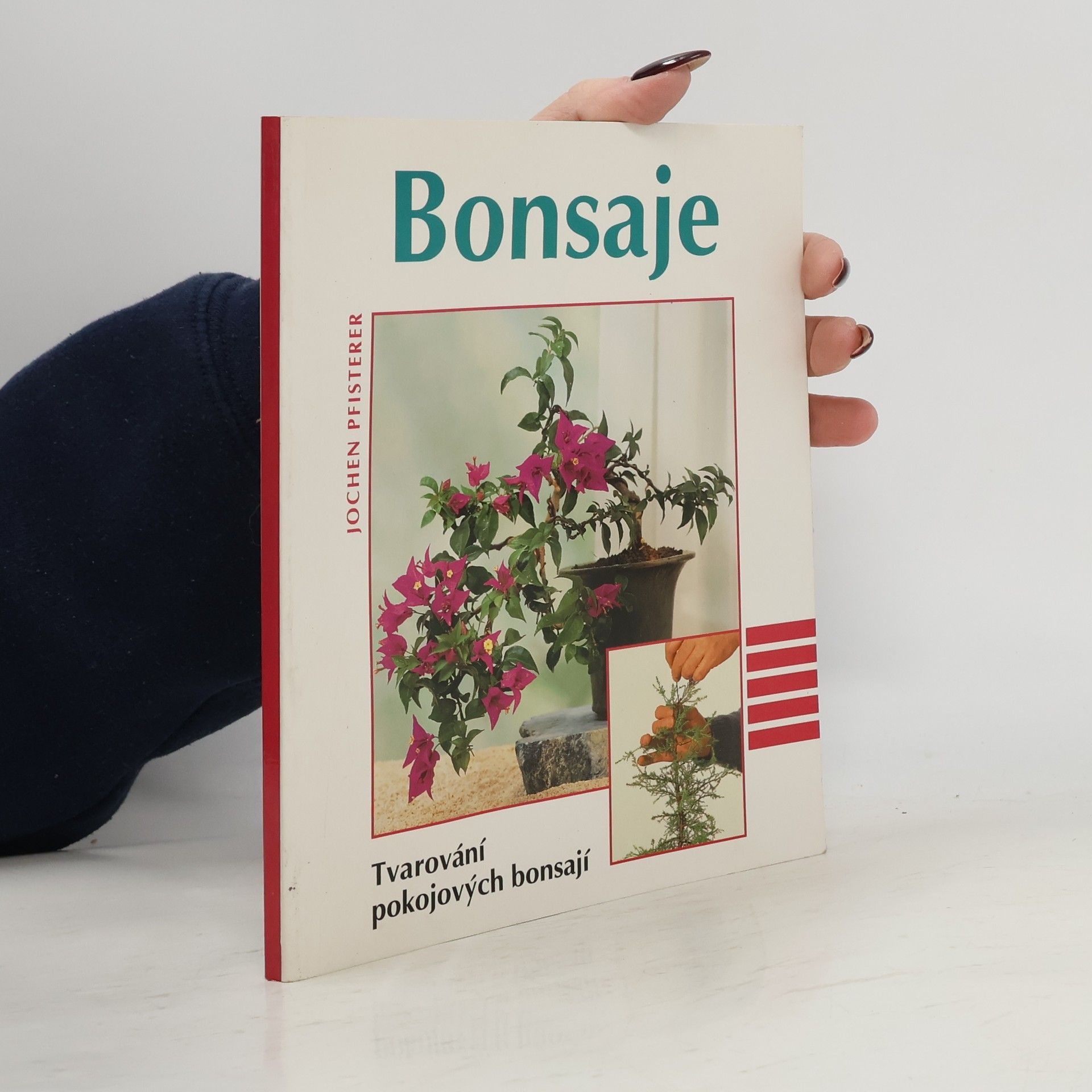 Bonsaje. Tvarování pokojových bonsají