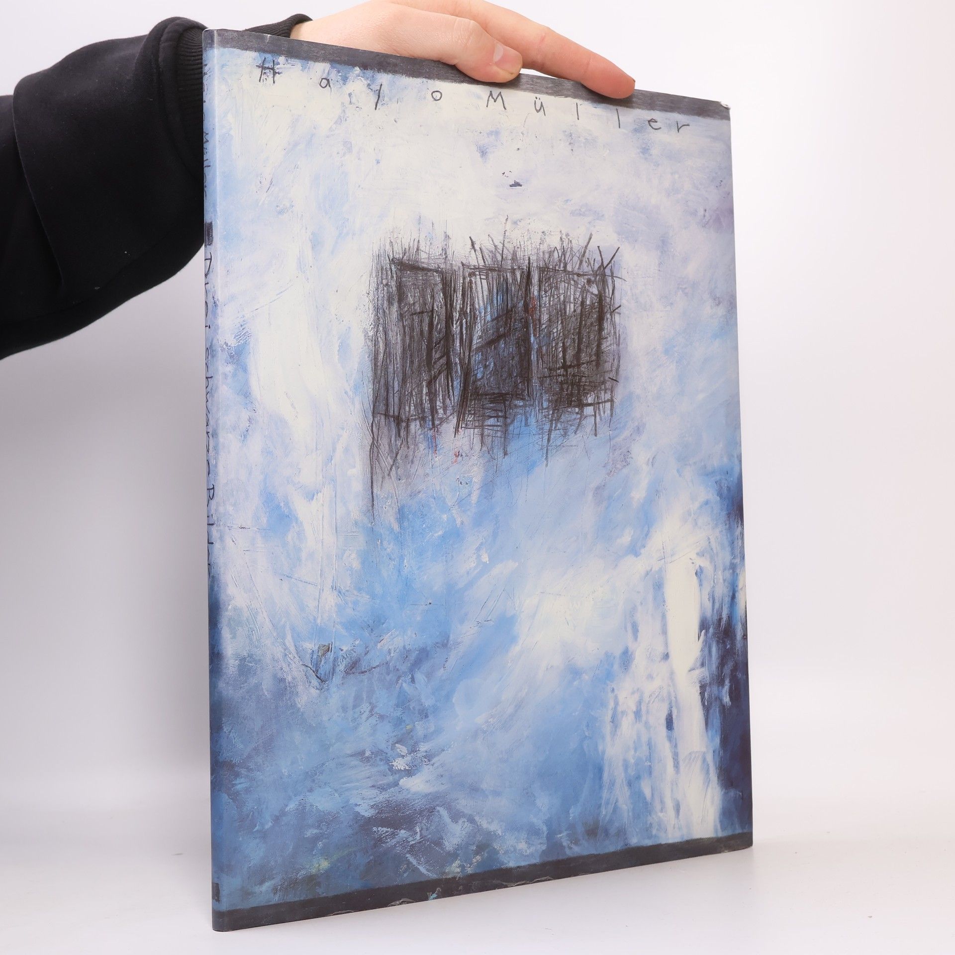 Hayo Müller Die Geschichte der 3 schwarzen Bilder