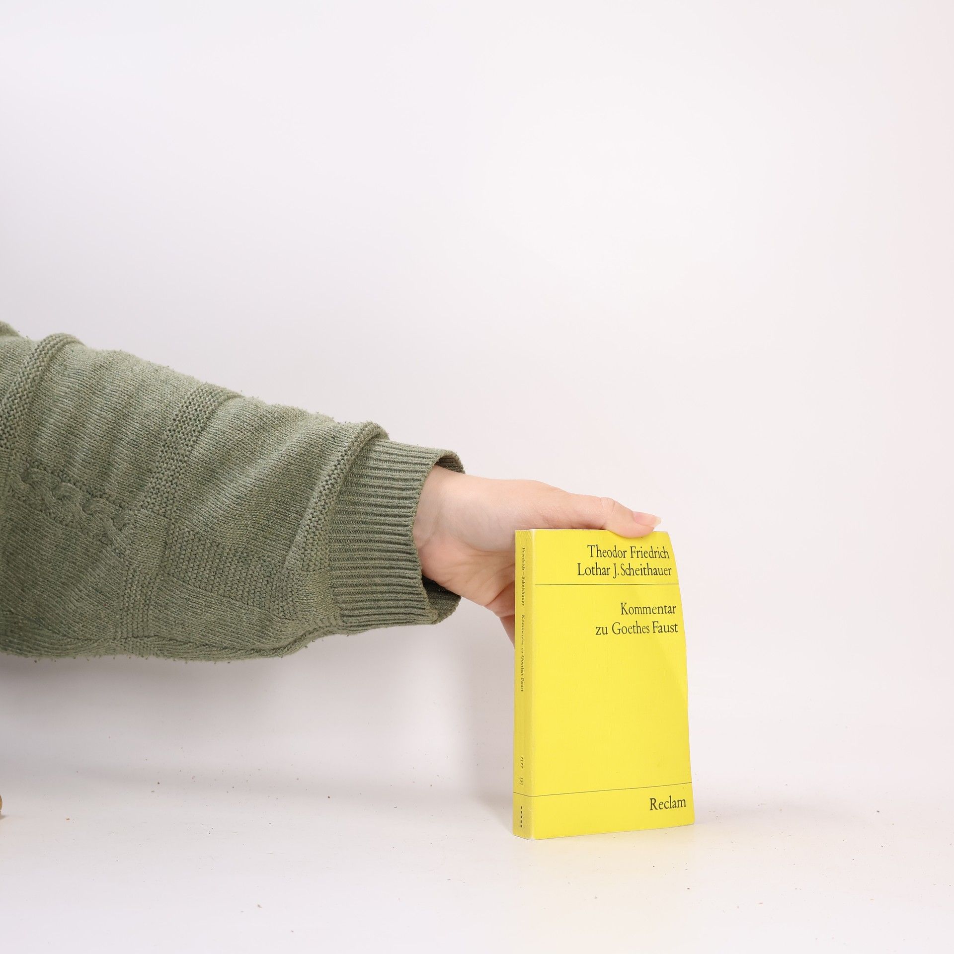 Theodor Friedrich Kommentar zu Goethes Faust