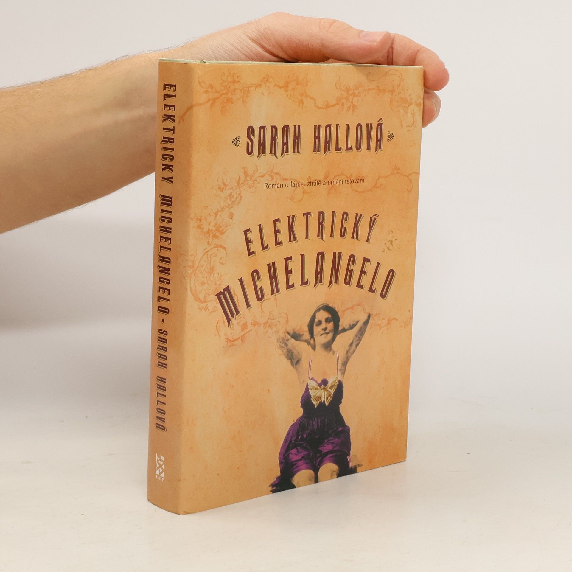 Sarah Hall Elektrický Michelangelo