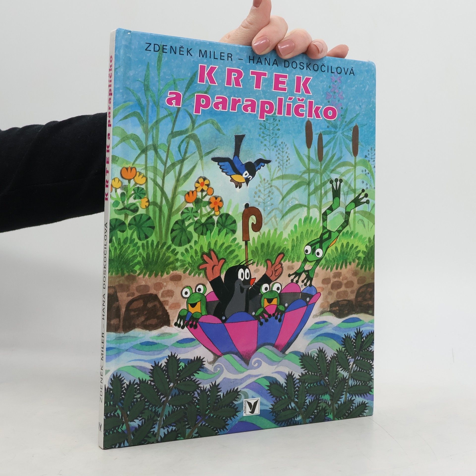 Hana Doskočilová Krtek a paraplíčko