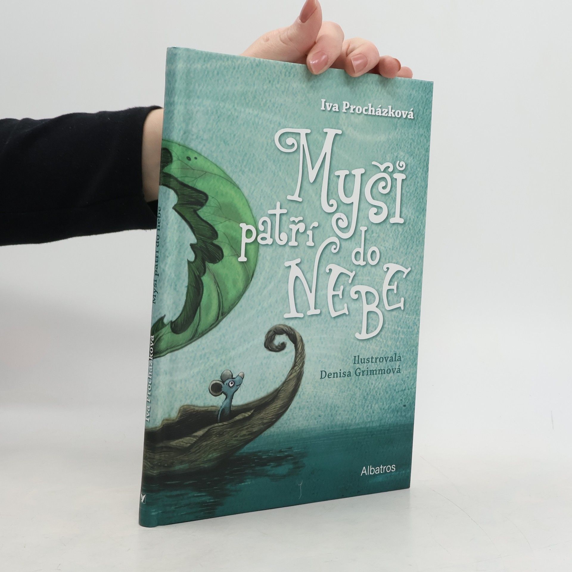 Iva Prochàzkovà Myši patří do nebe