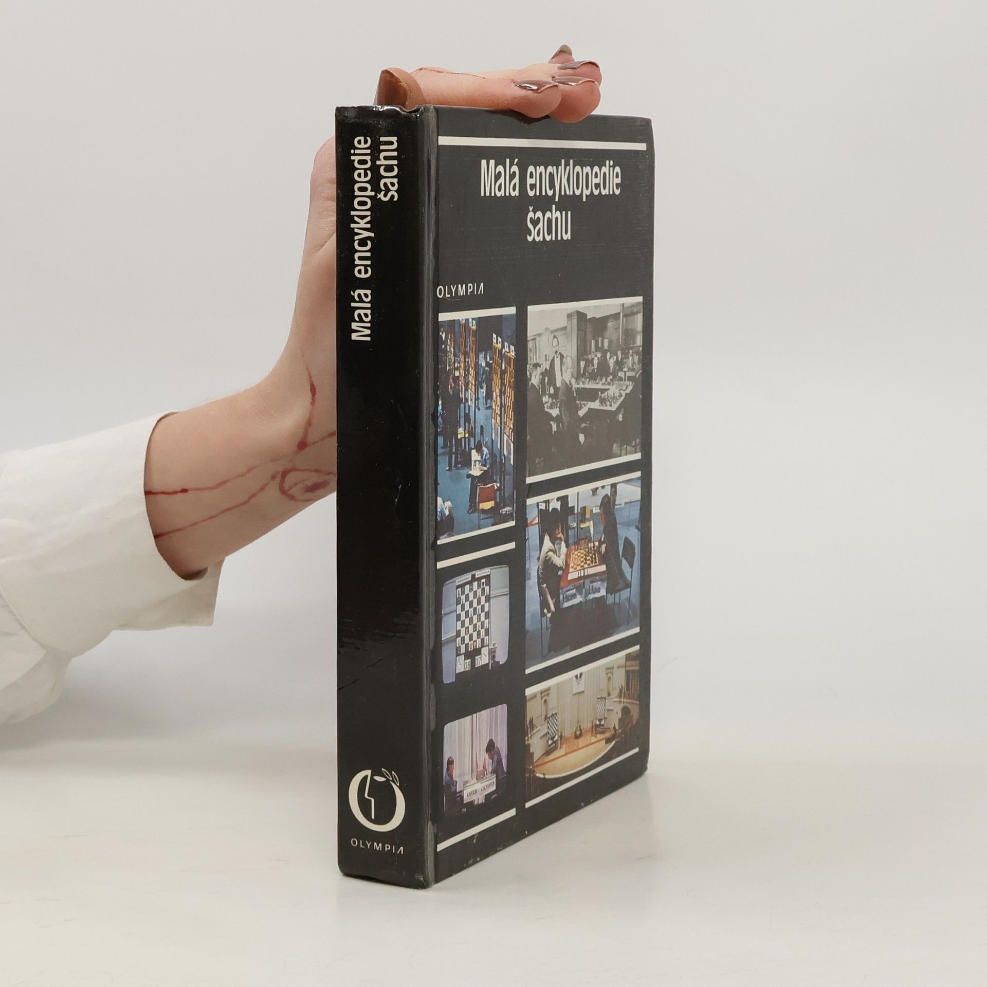 Malá encyklopedie šachu