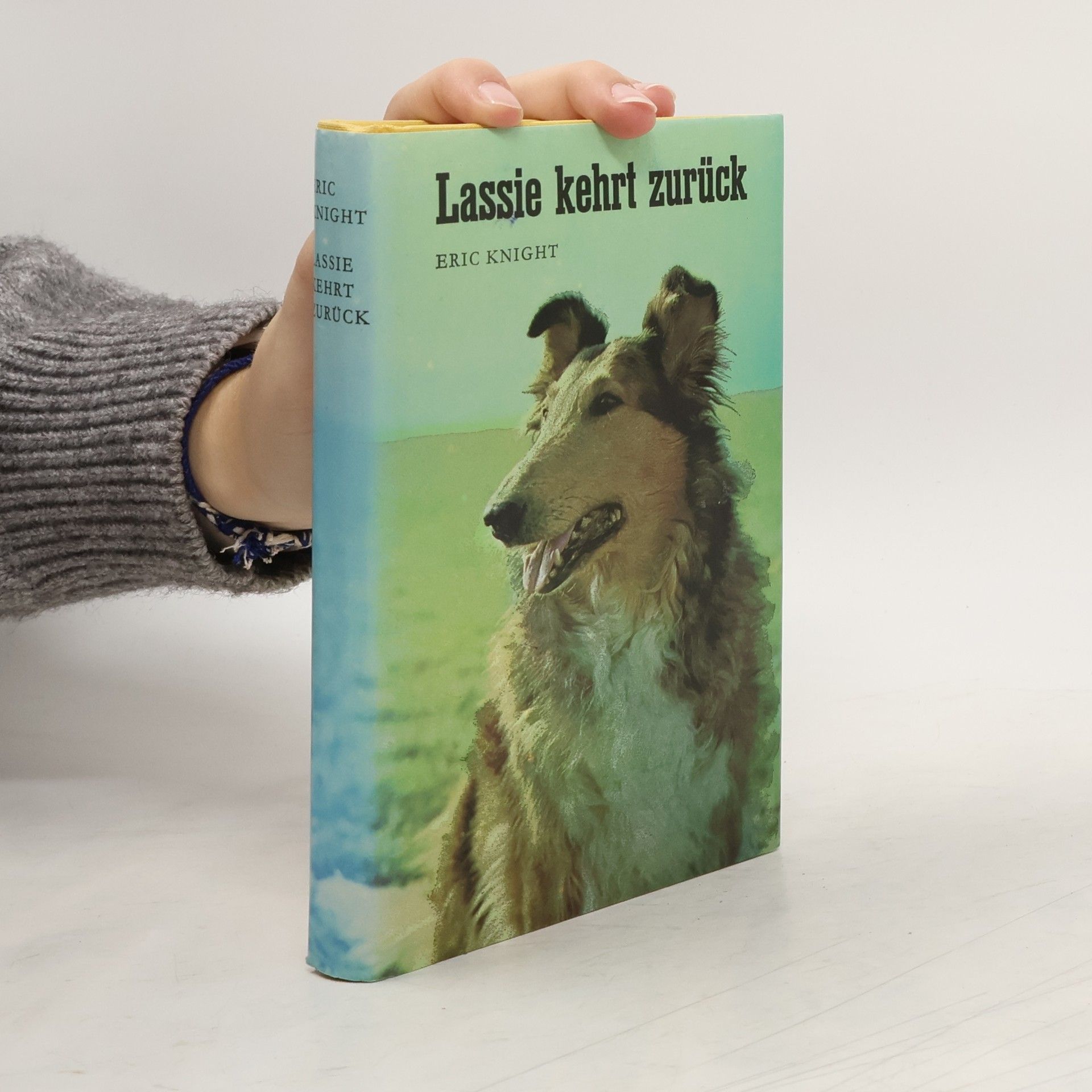 Eric Knight Lassie kehrt zurück