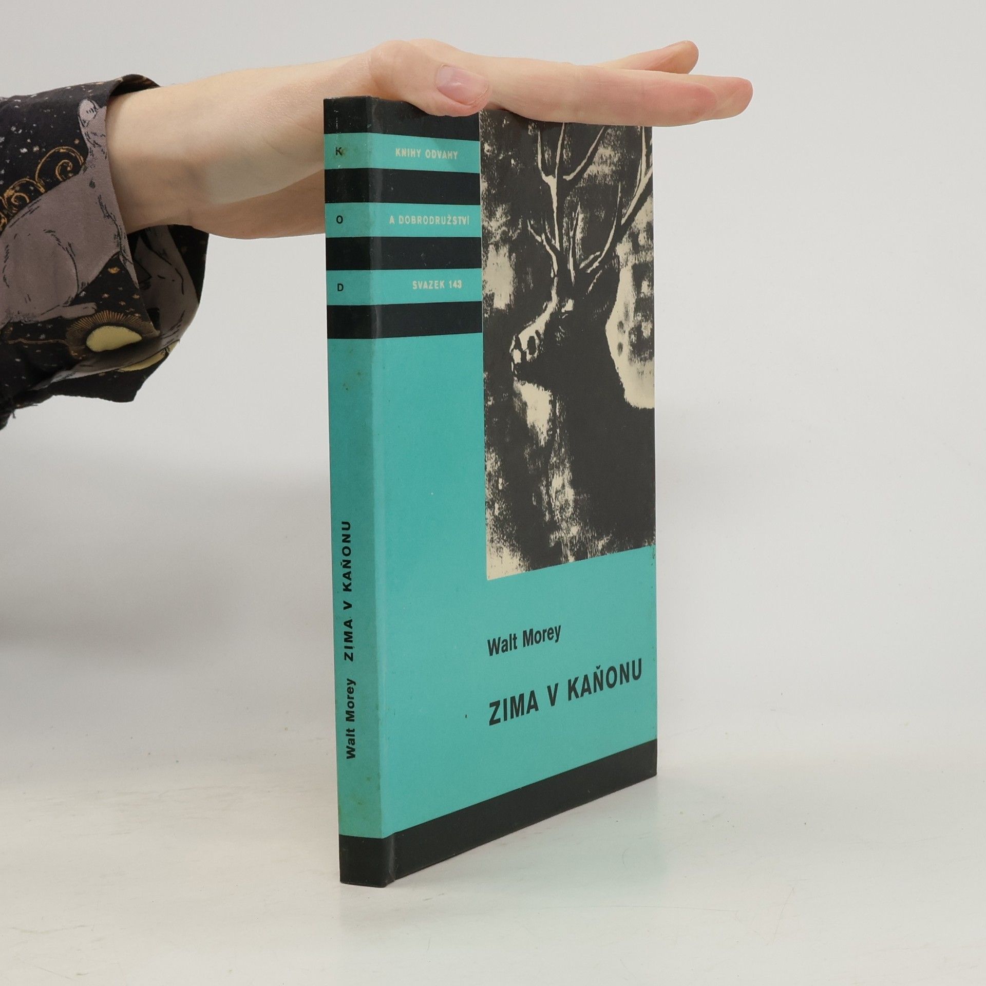 Walt Morey Zima v kaňonu